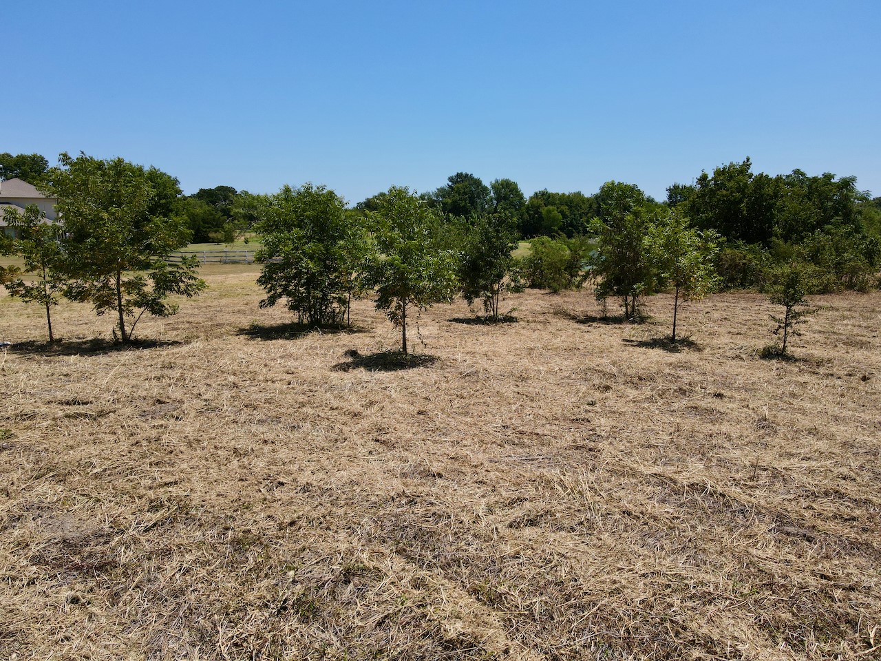 Lot 4 SE County Road 3321