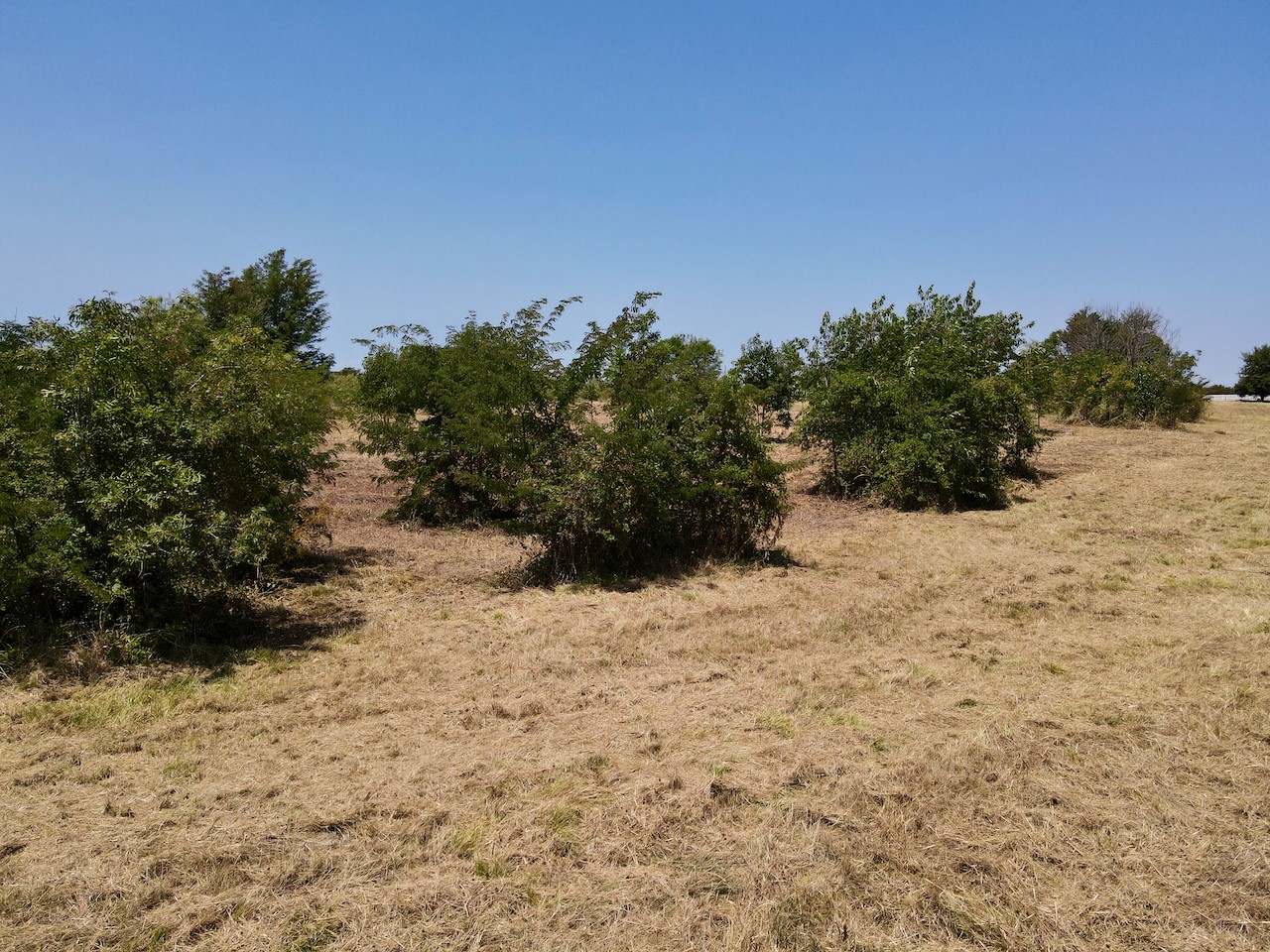 Lot 4 SE County Road 3321