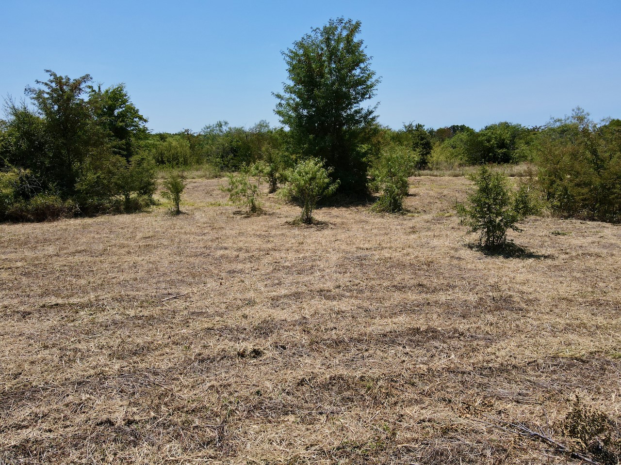 Lot 4 SE County Road 3321