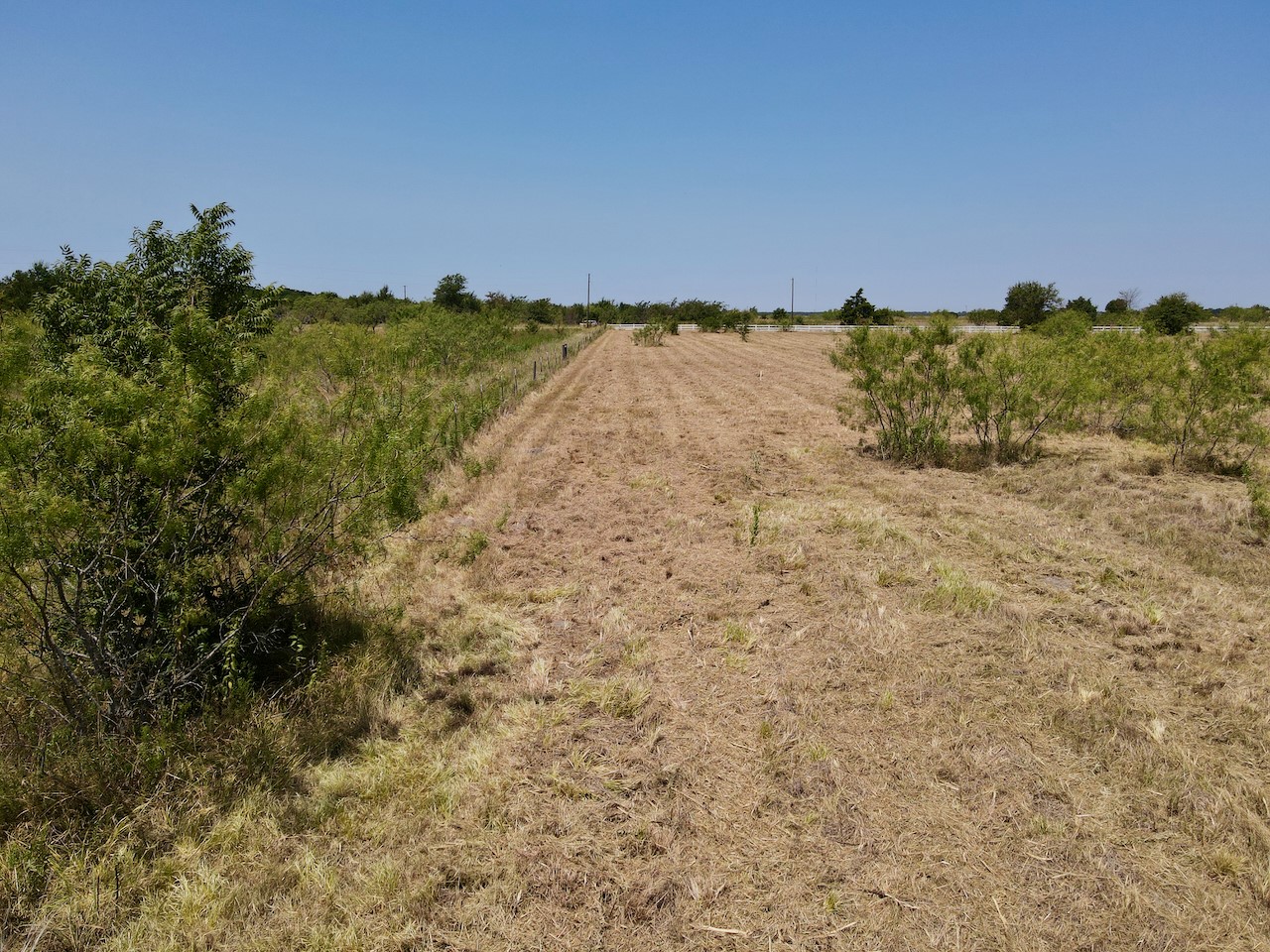 Lot 4 SE County Road 3321