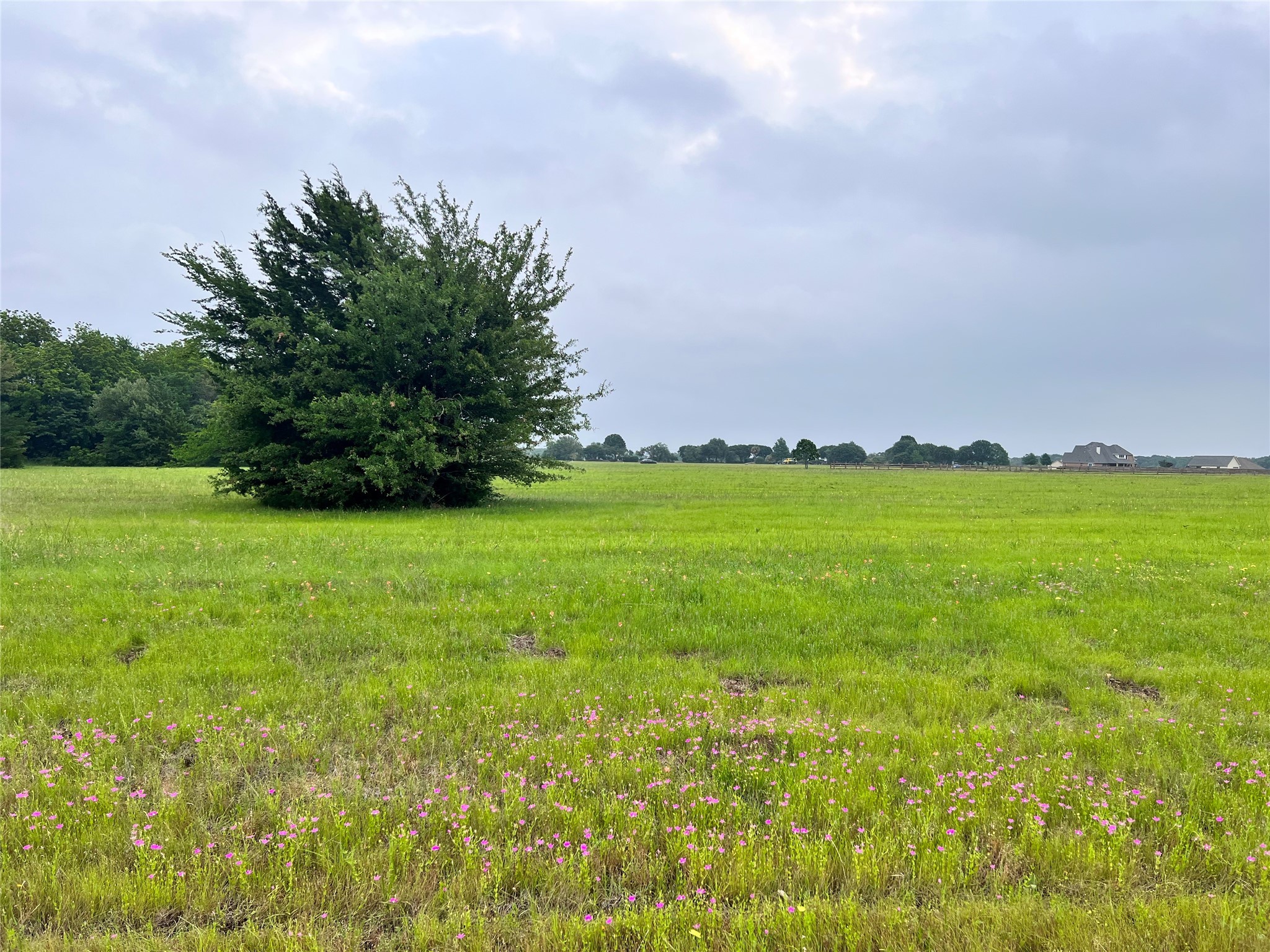 Lot 392 Polaris Drive