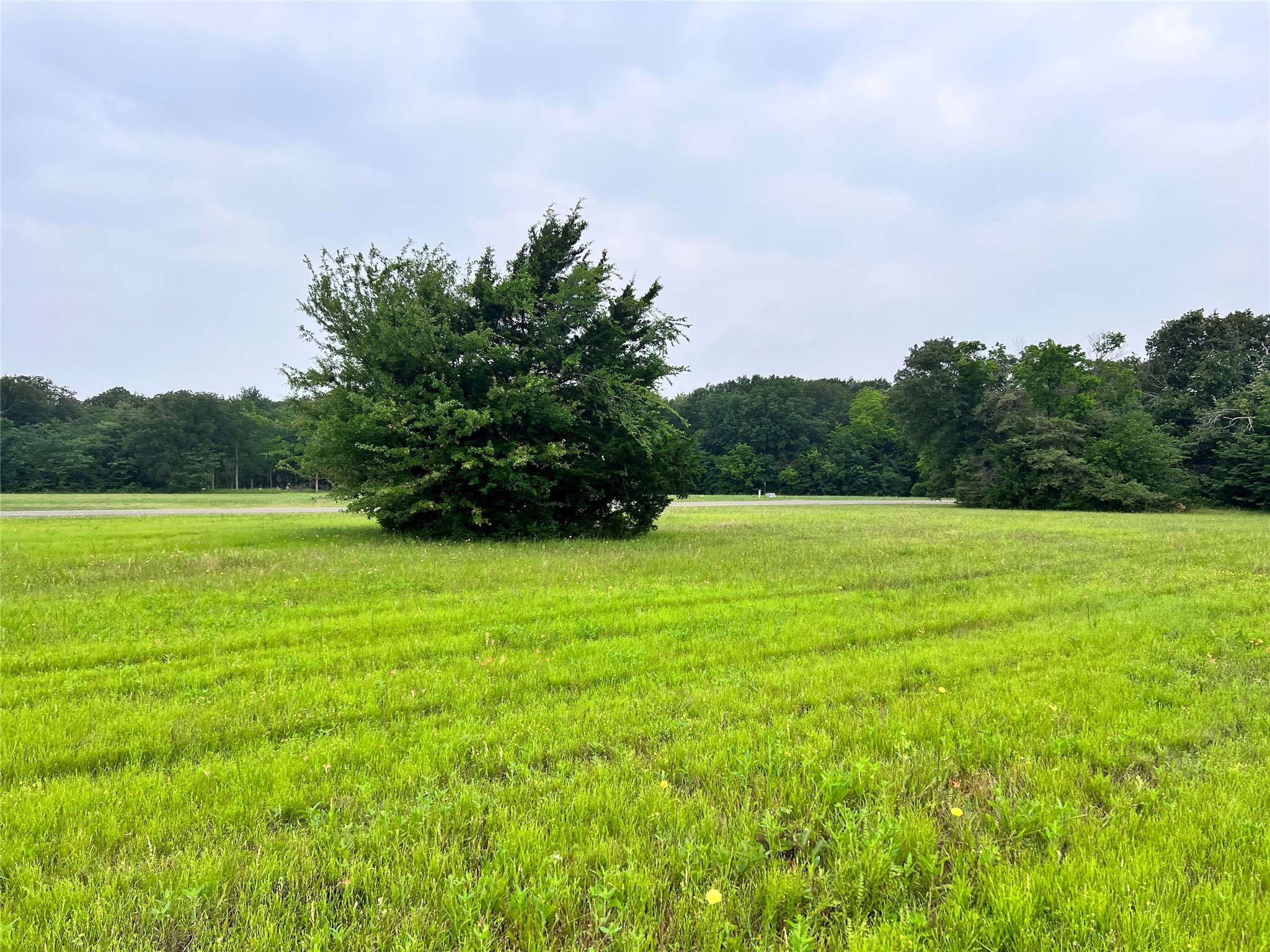 Lot 391 Polaris Drive