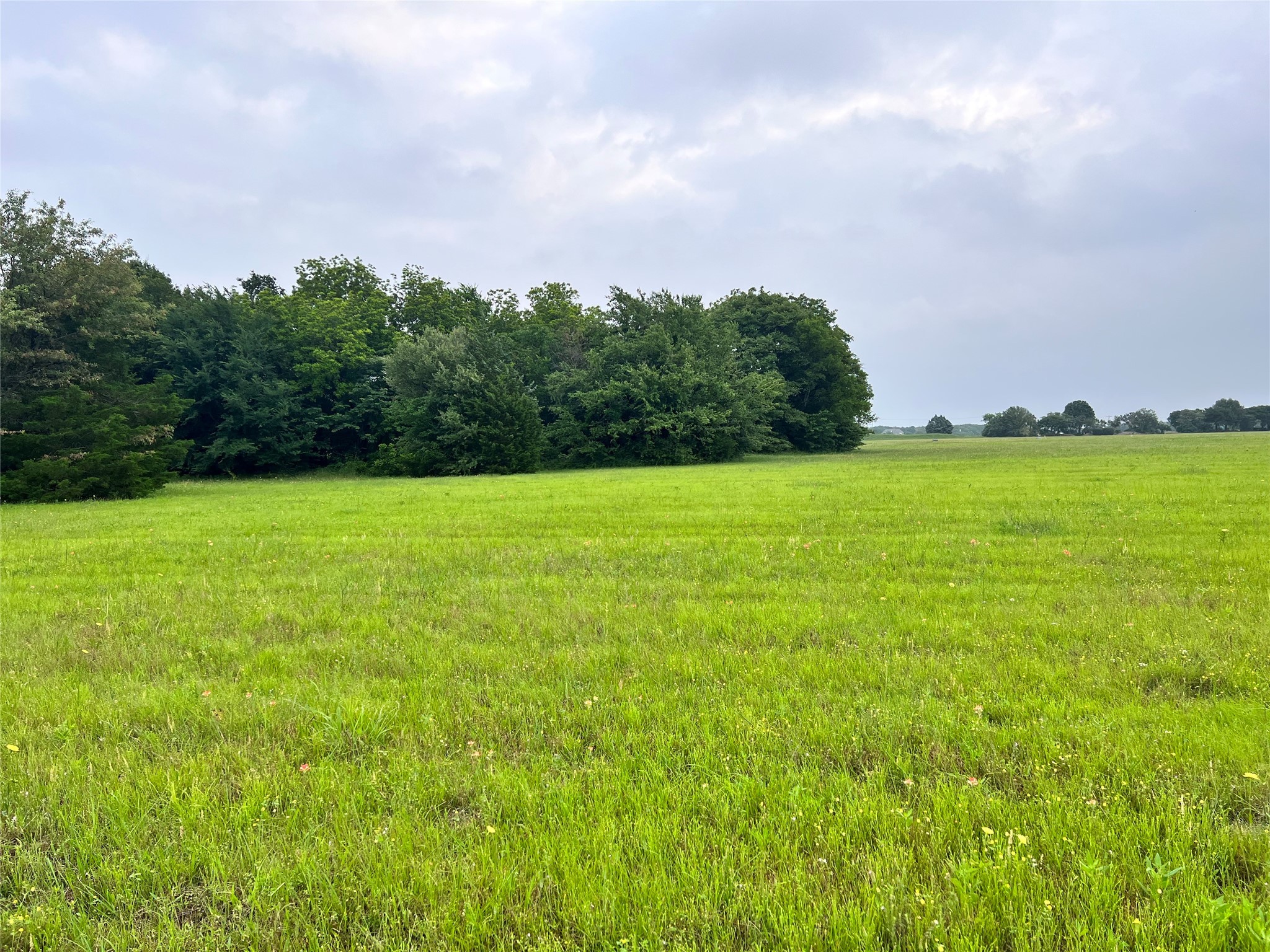 Lot 391 Polaris Drive
