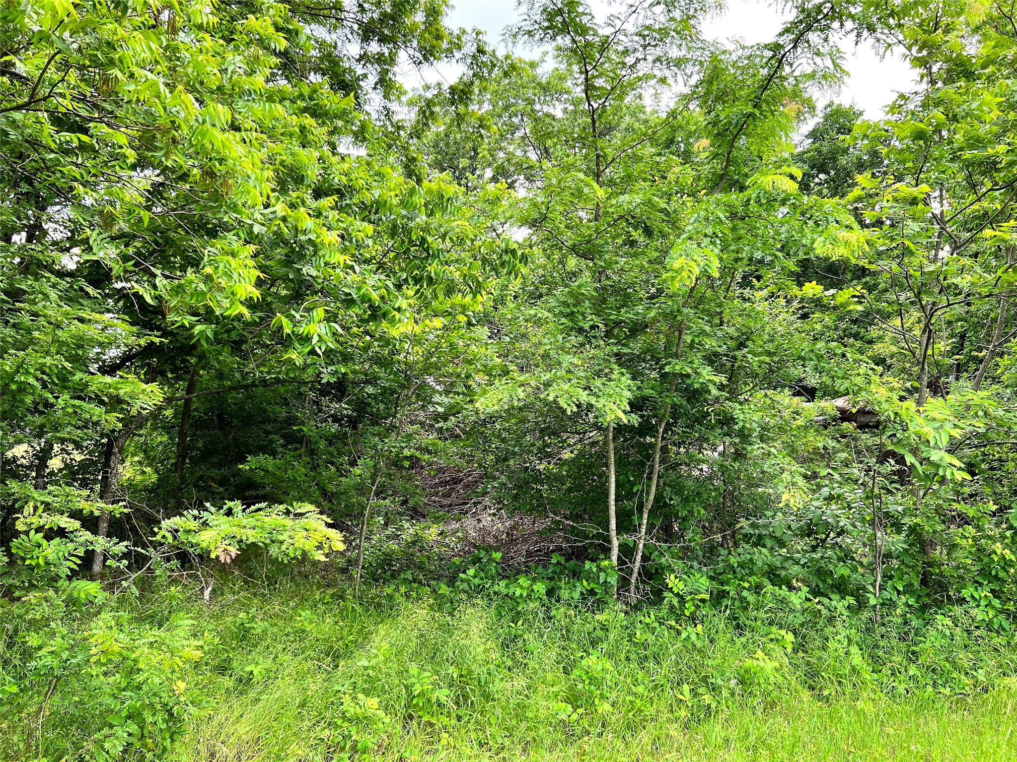 Lot 78 Clubhouse Drive