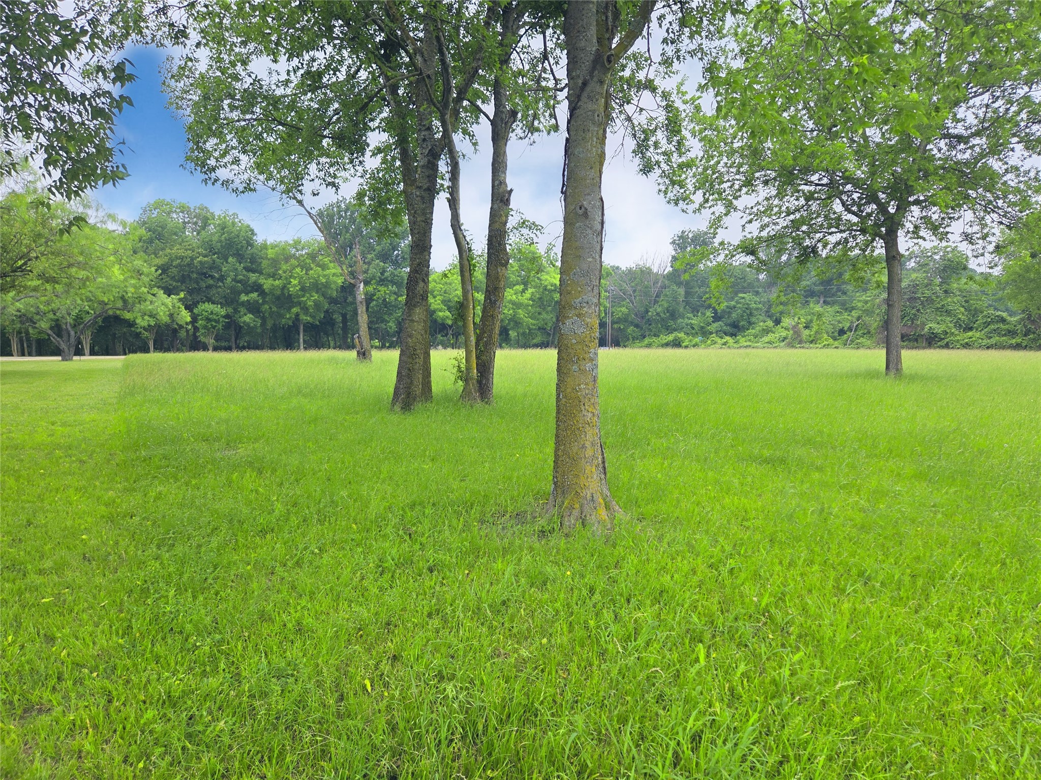 Lot 5 & 6 Francisco Bay Drive