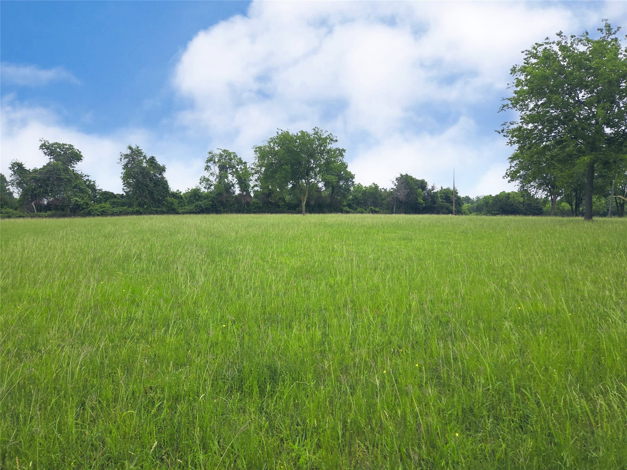 Lot 5 & 6 Francisco Bay Drive