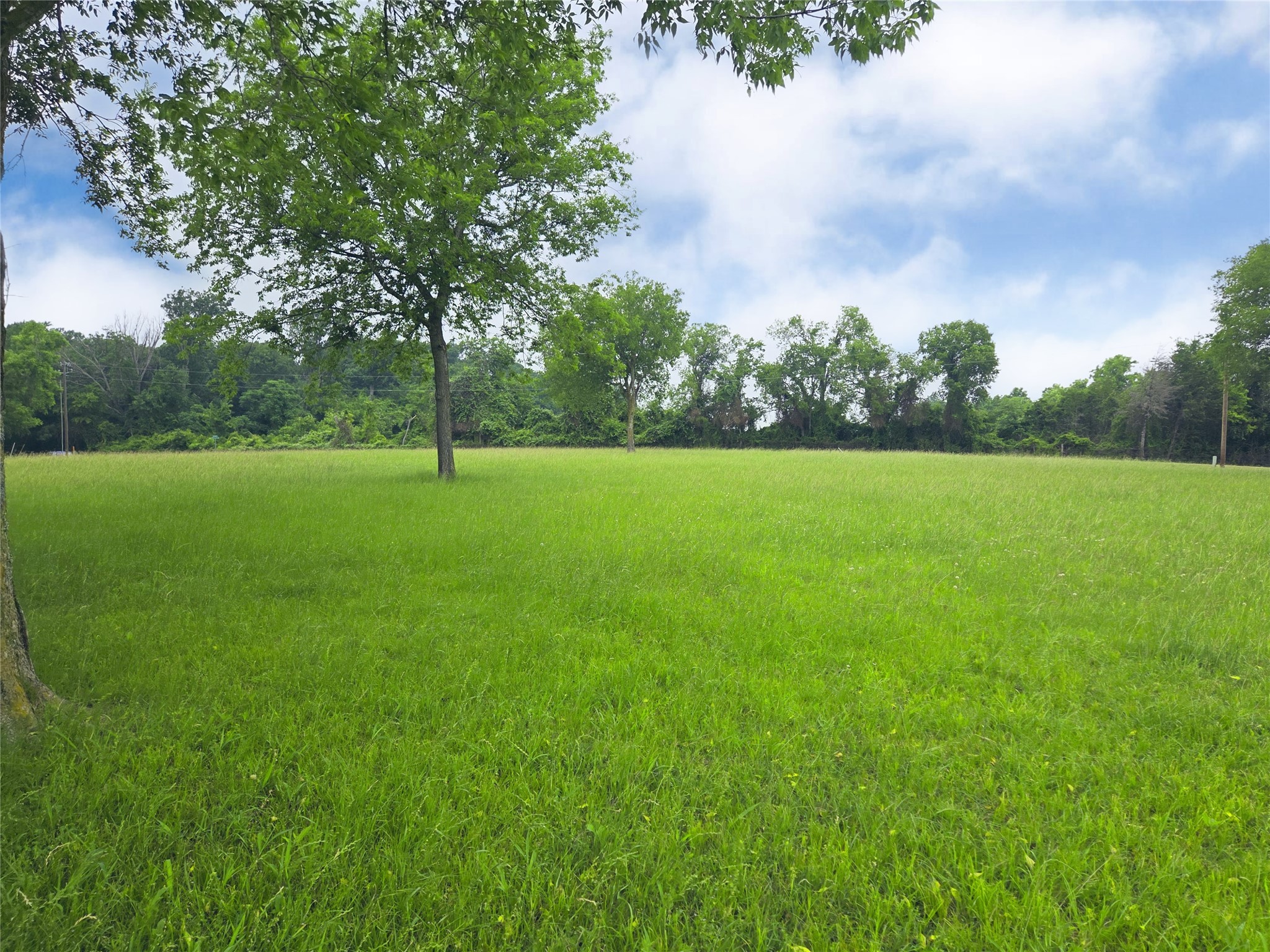 Lot 5 & 6 Francisco Bay Drive