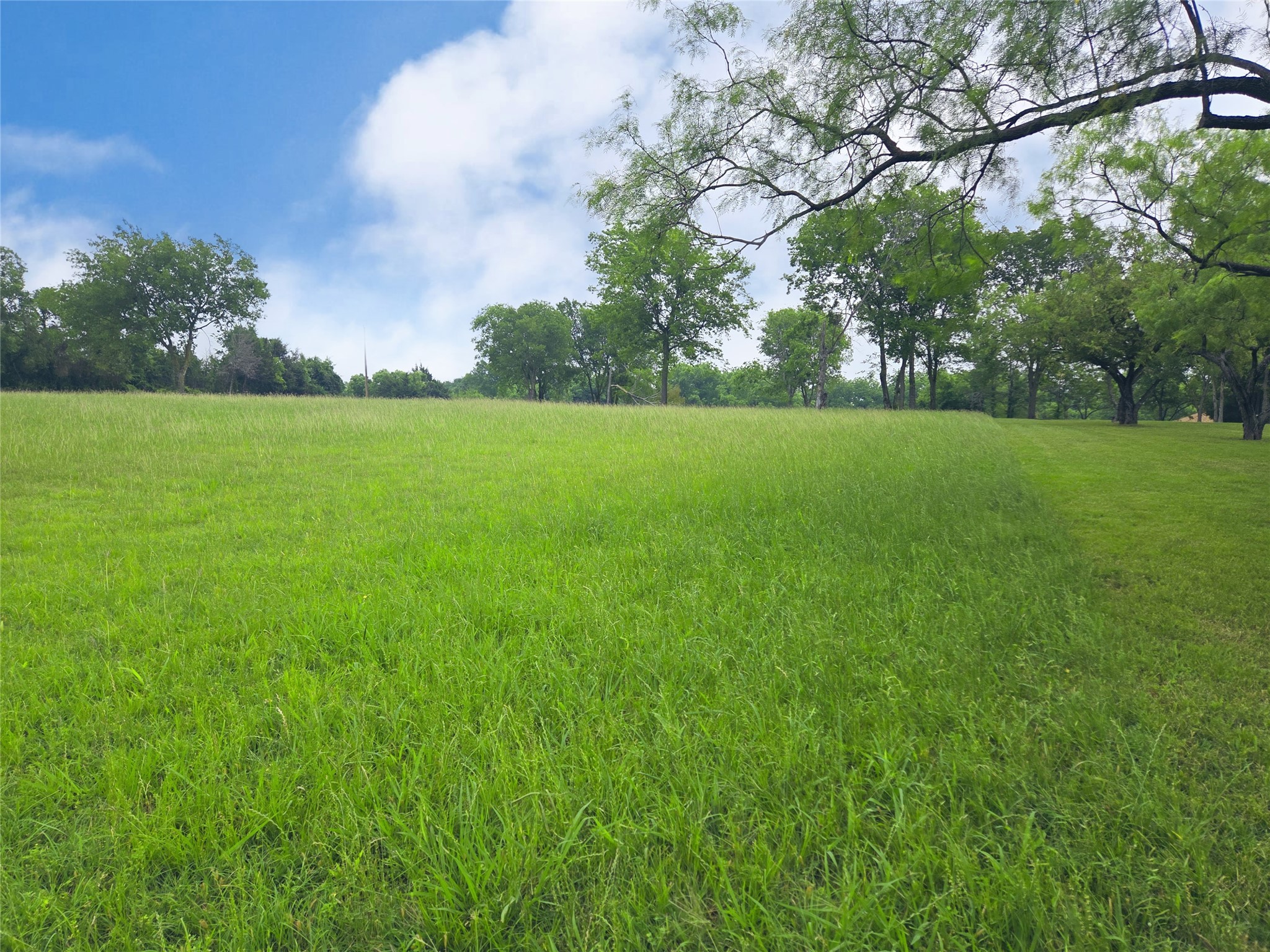 Lot 5 & 6 Francisco Bay Drive