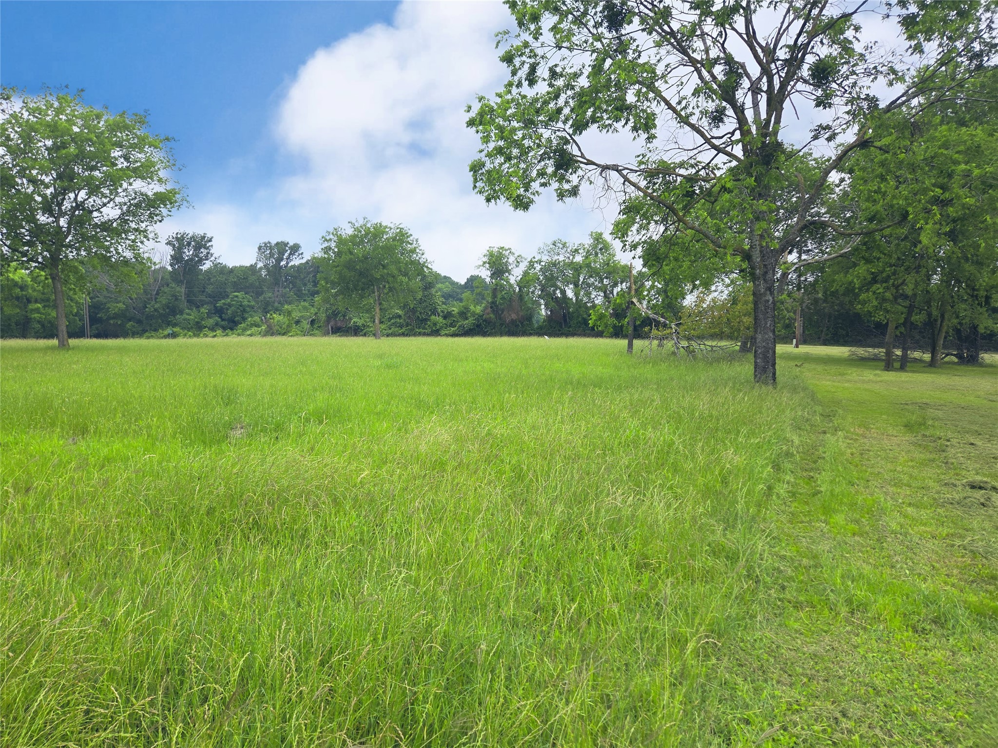 Lot 5 & 6 Francisco Bay Drive