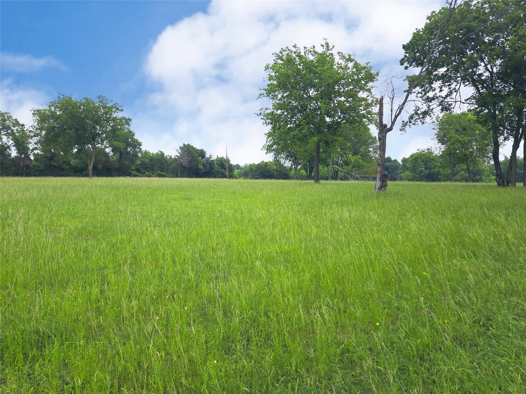 Lot 5 & 6 Francisco Bay Drive