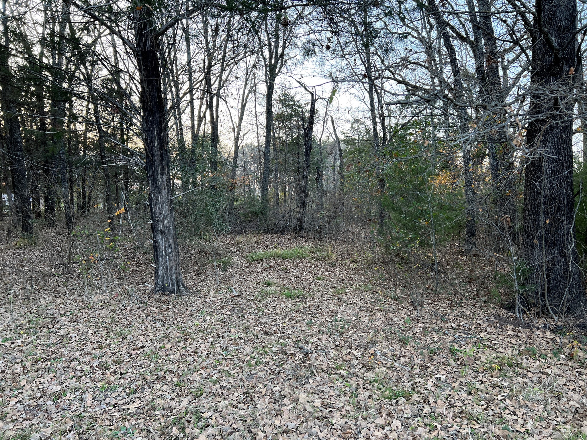 442 Waters Edge Drive