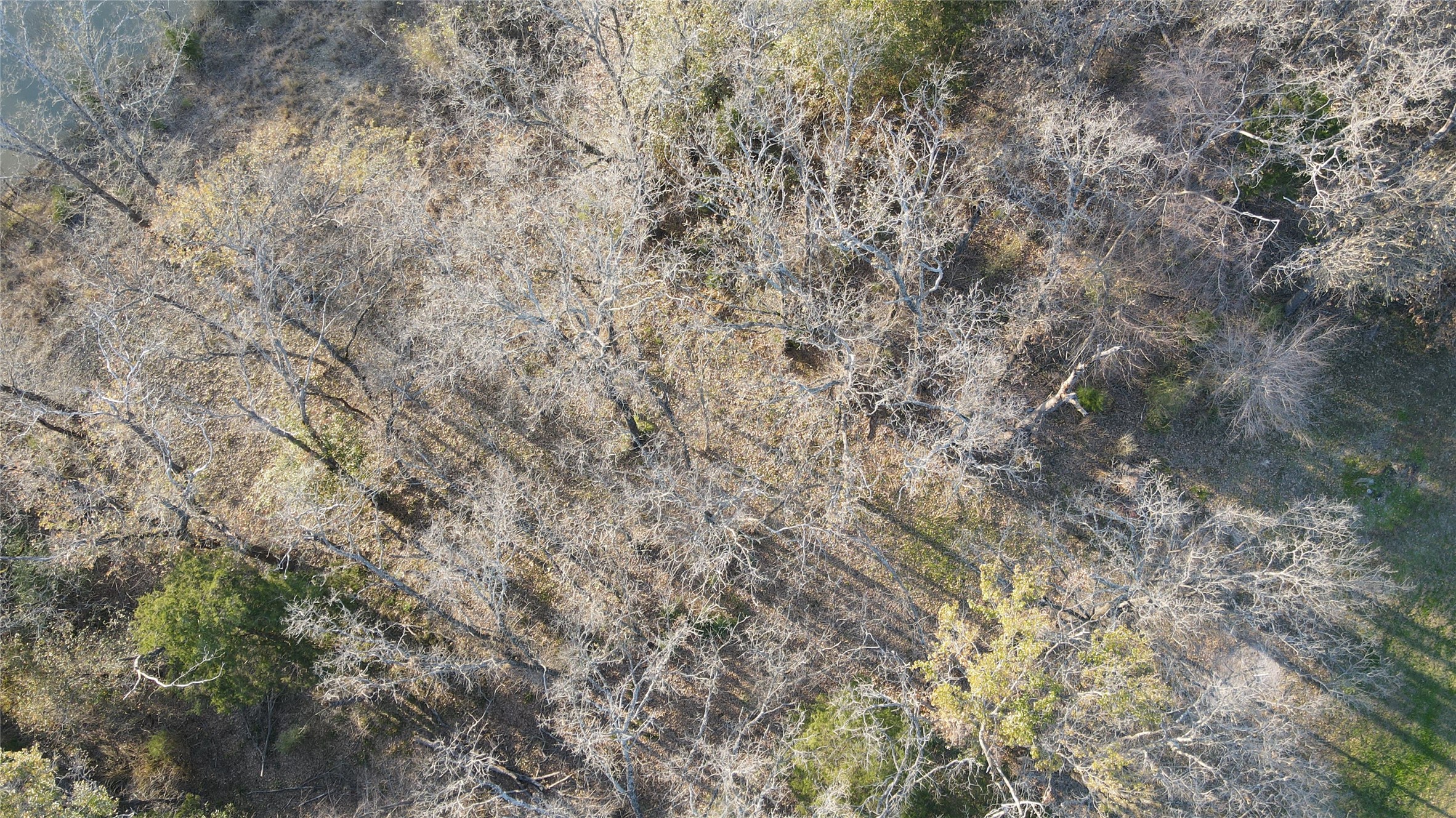 442 Waters Edge Drive