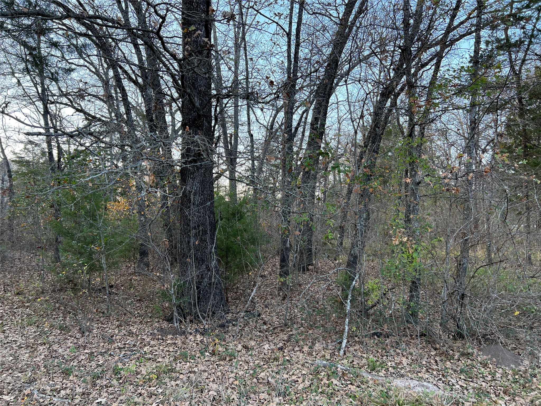 442 Waters Edge Drive