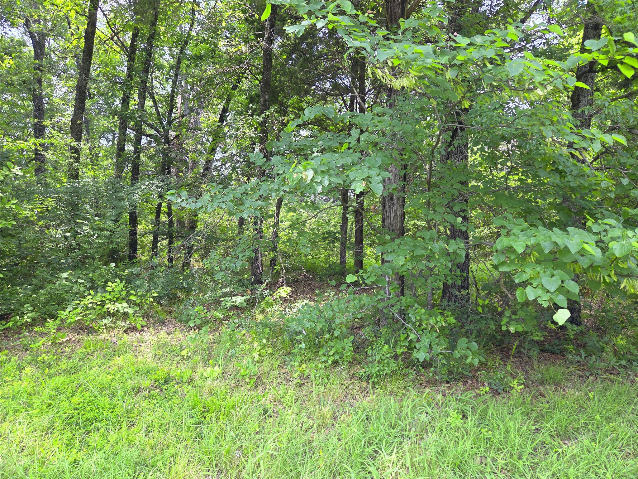 442 Waters Edge Drive