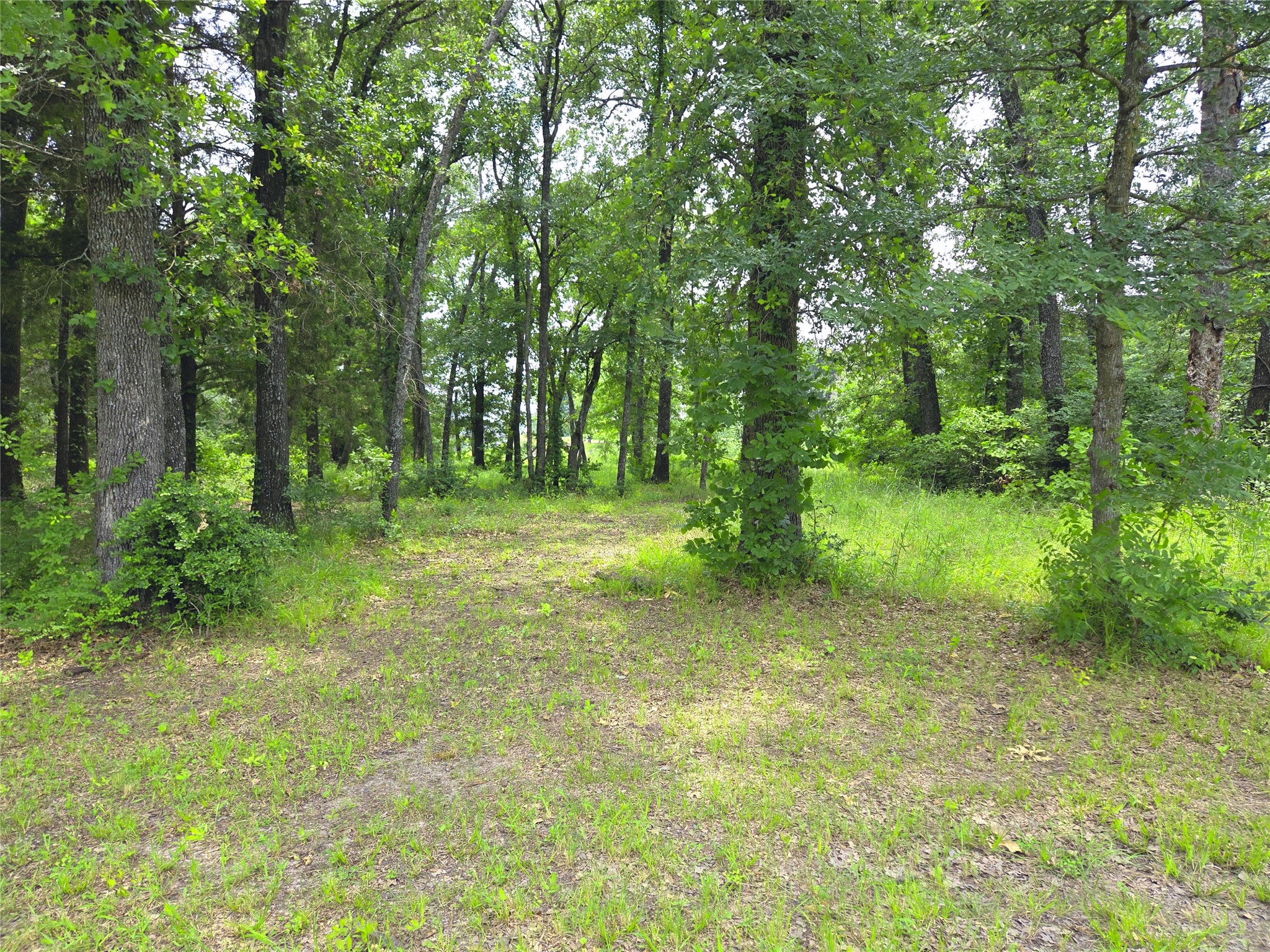 442 Waters Edge Drive