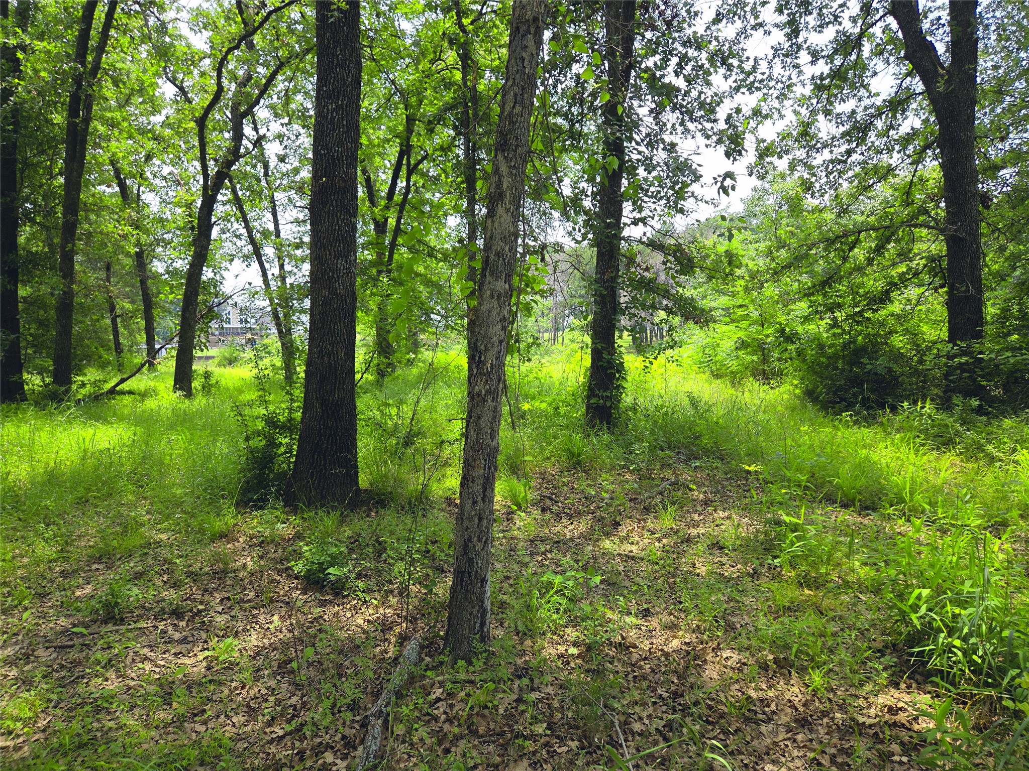 442 Waters Edge Drive