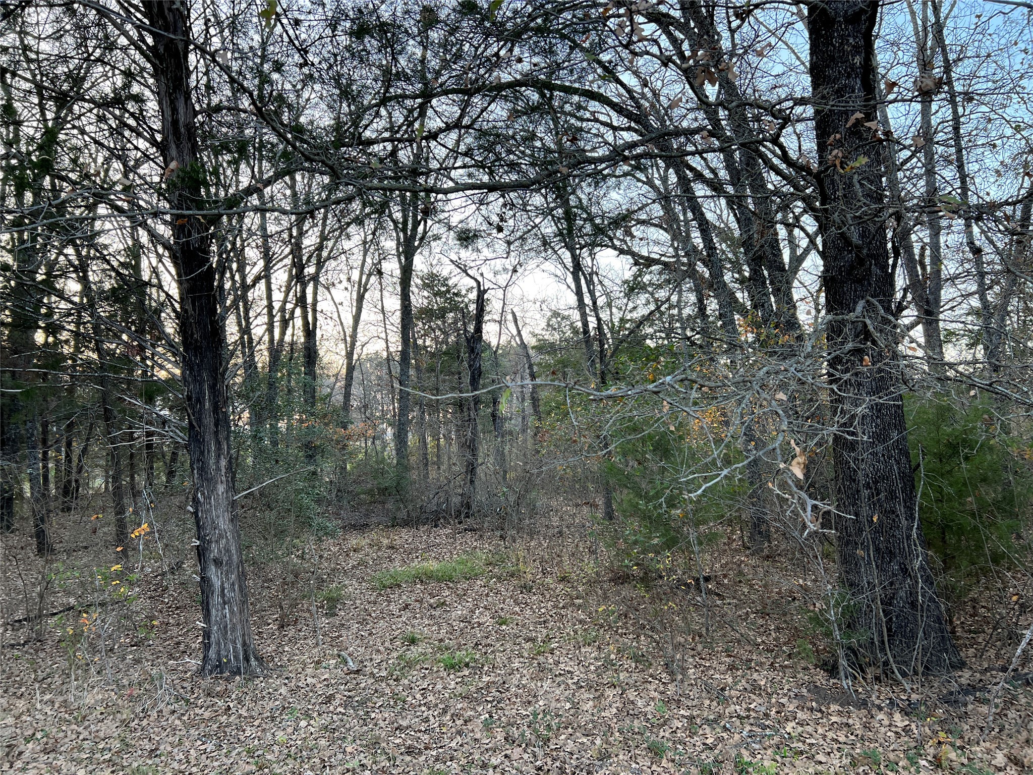 442 Waters Edge Drive