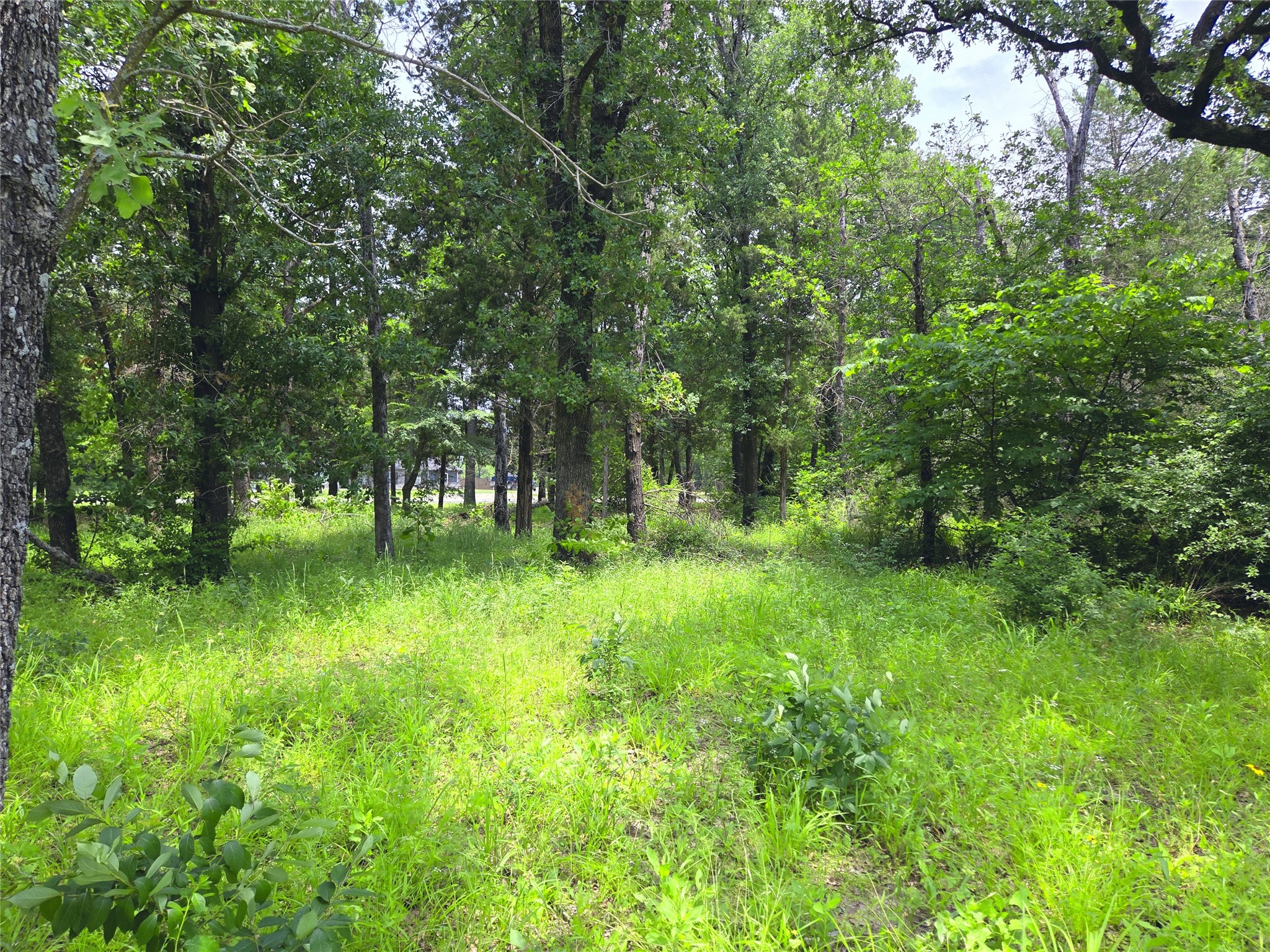 442 Waters Edge Drive