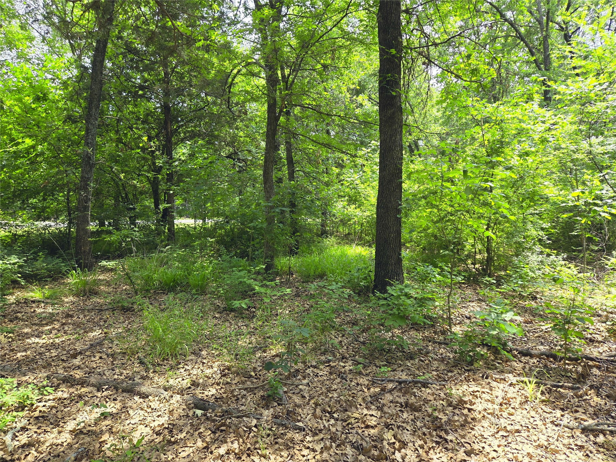 442 Waters Edge Drive