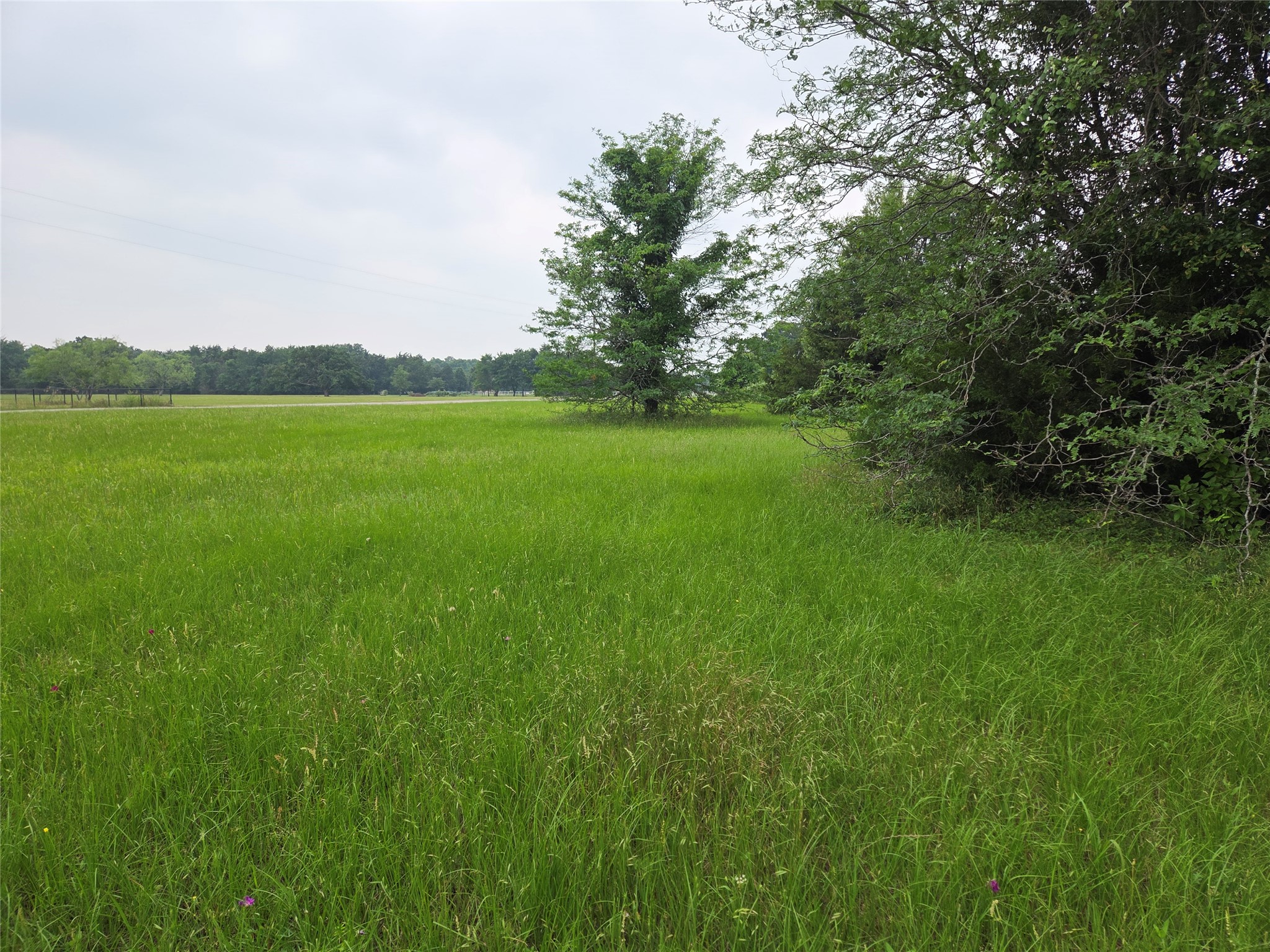 Lot 2 Sweetwater Trail