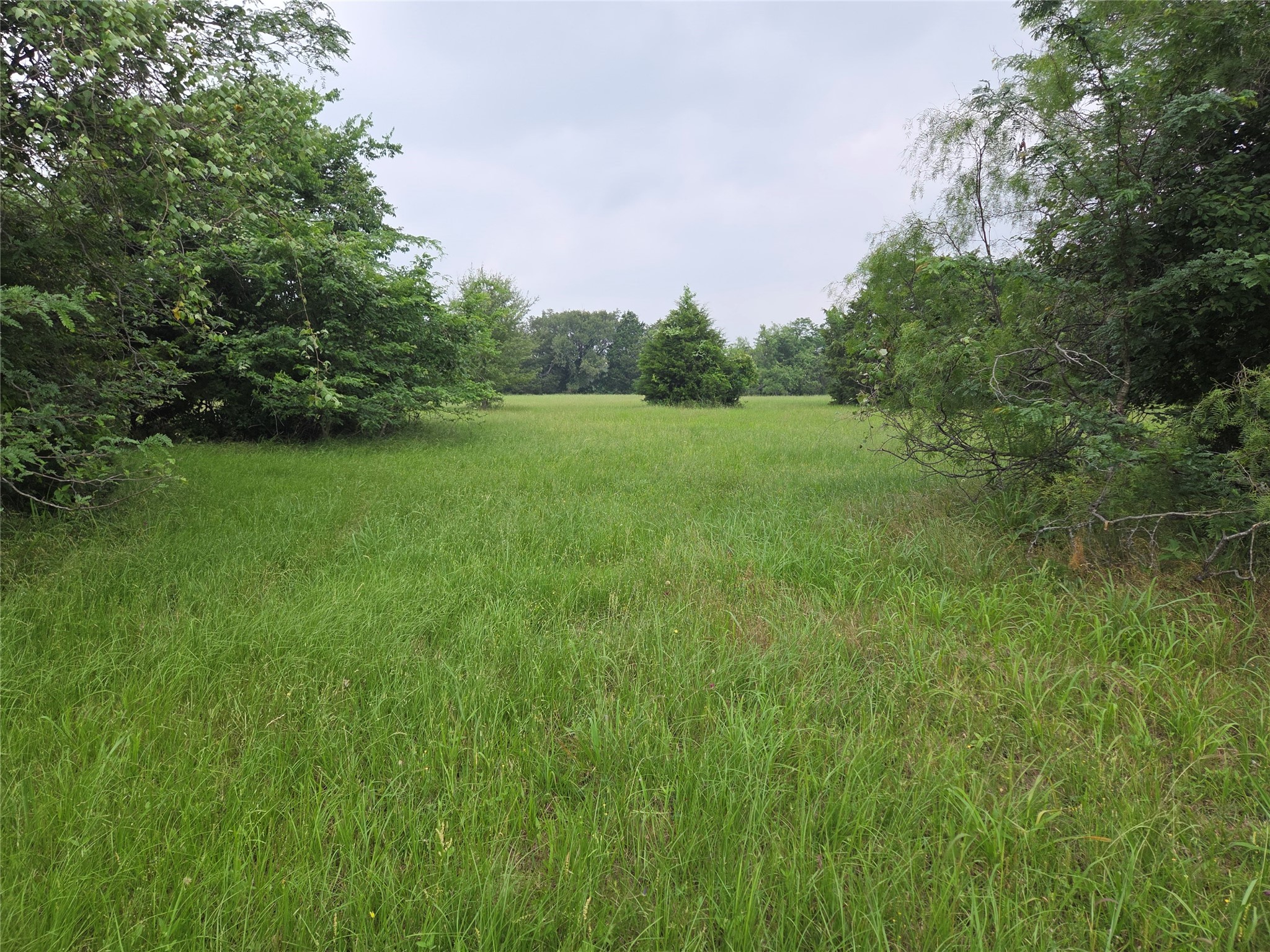 Lot 2 Sweetwater Trail
