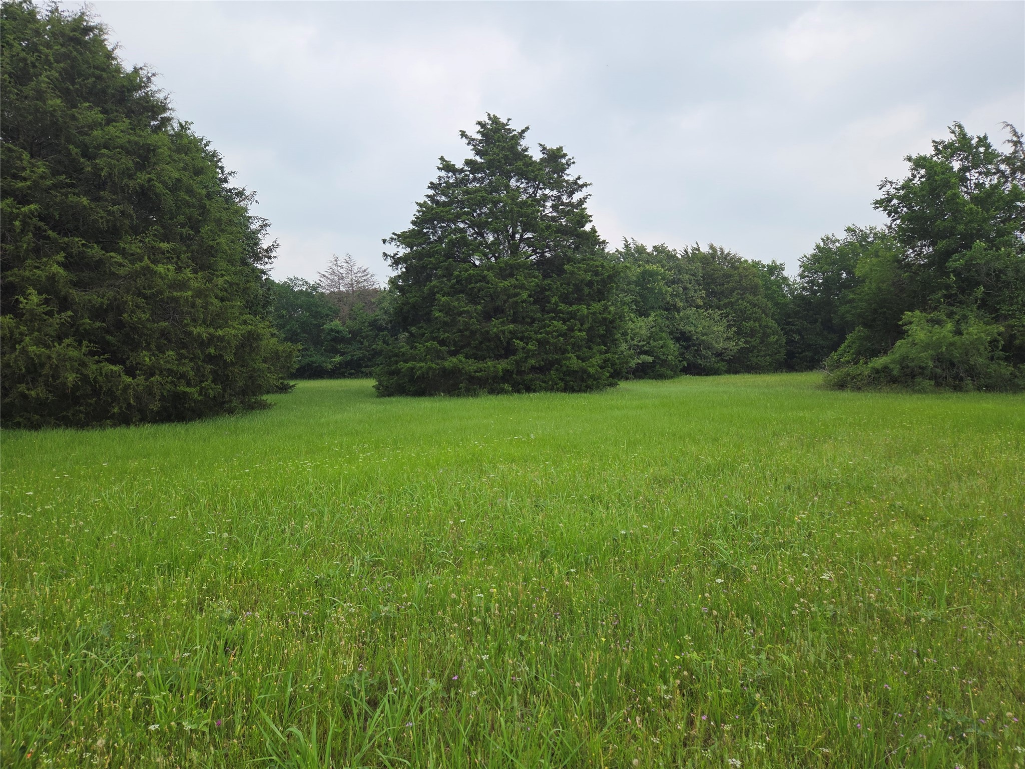 Lot 2 Sweetwater Trail