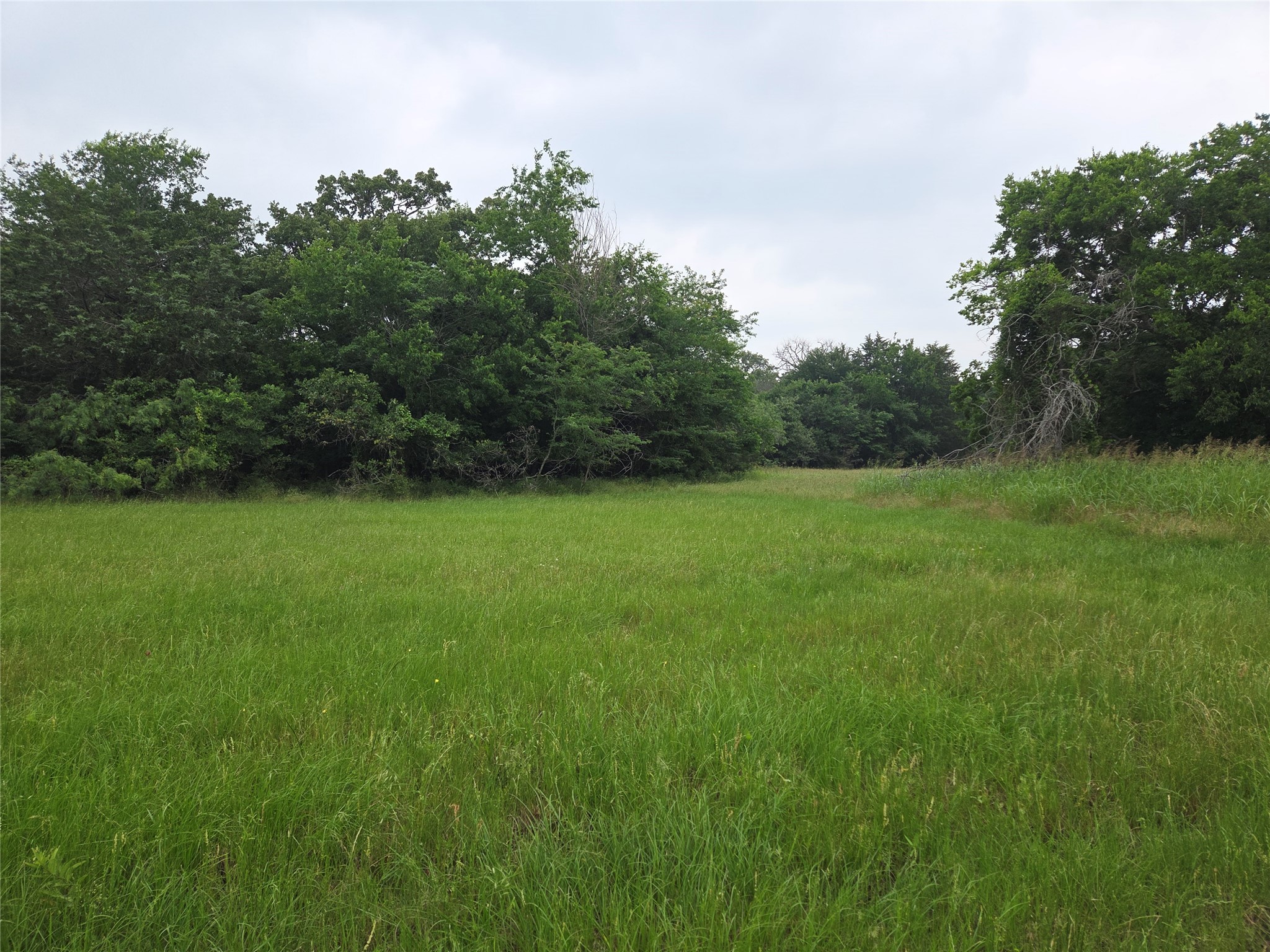 Lot 2 Sweetwater Trail