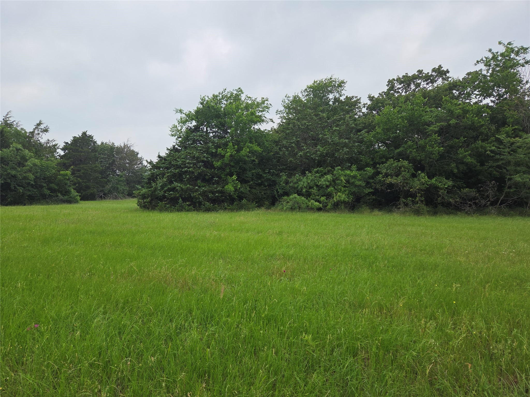 Lot 2 Sweetwater Trail