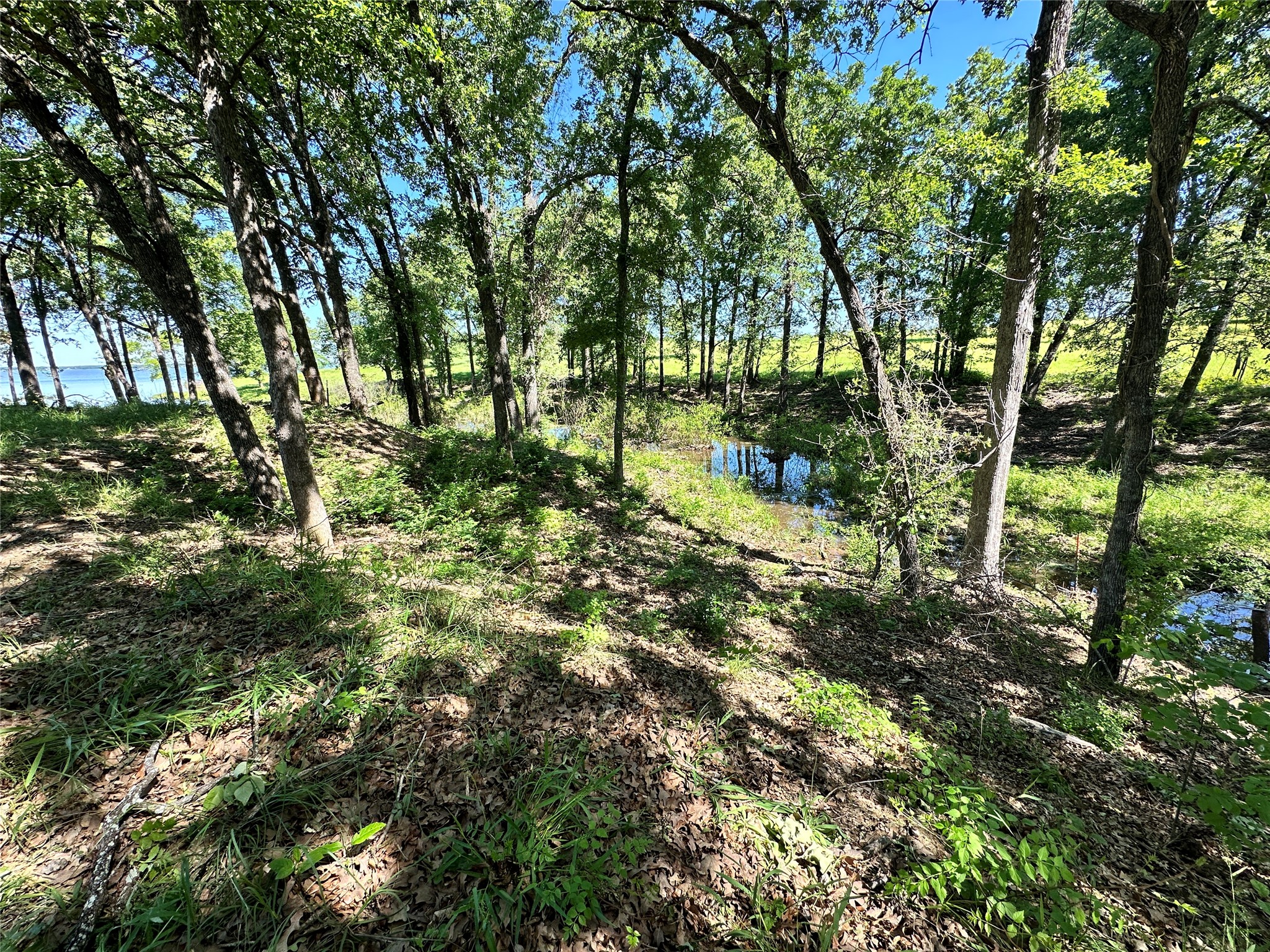 Lot 52 Paradise Cove