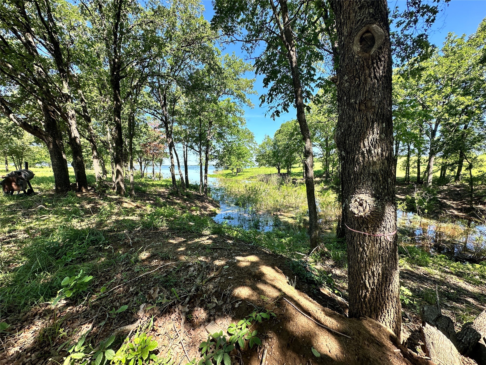 Lot 52 Paradise Cove