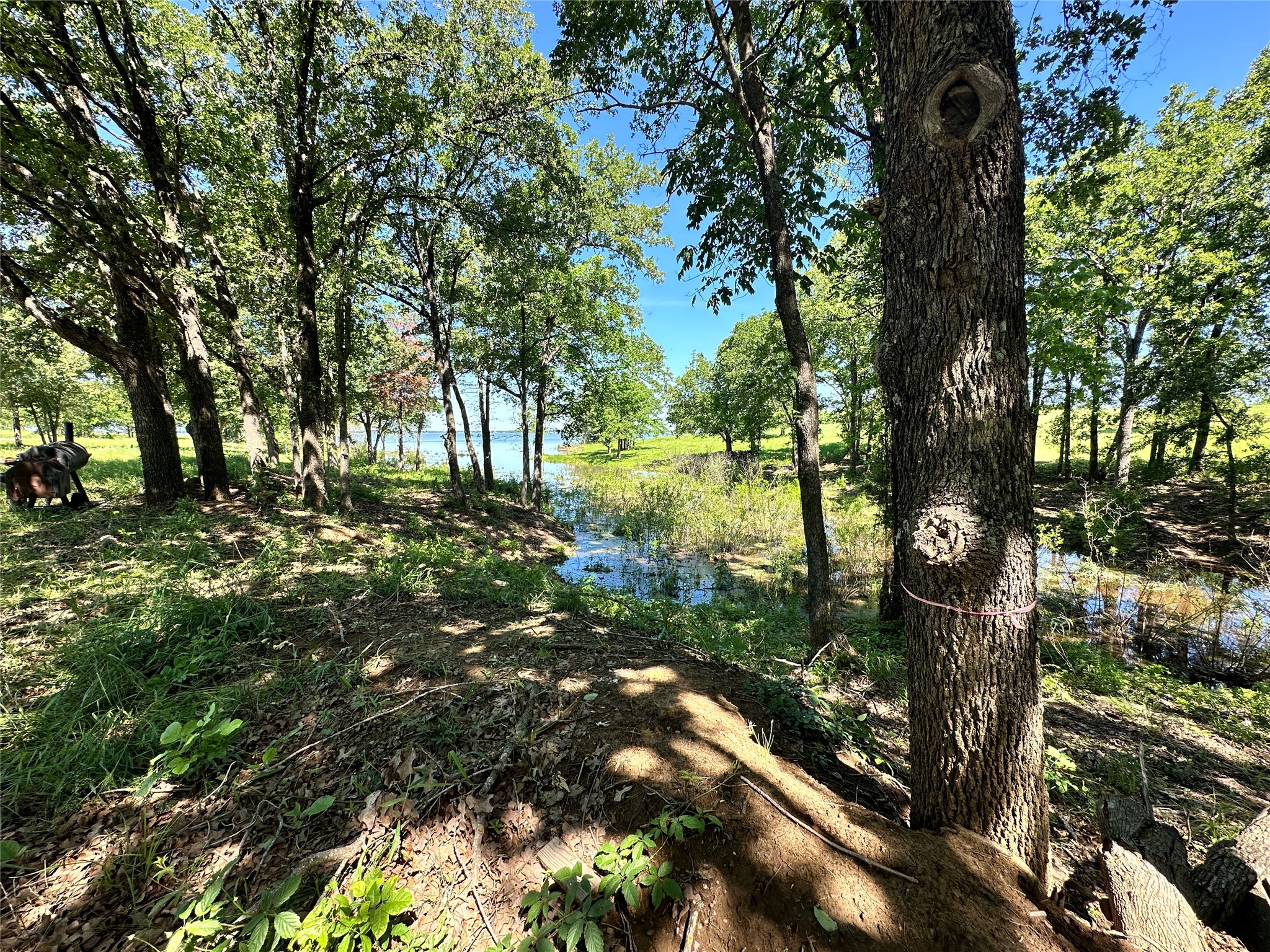 Lot 52 Paradise Cove