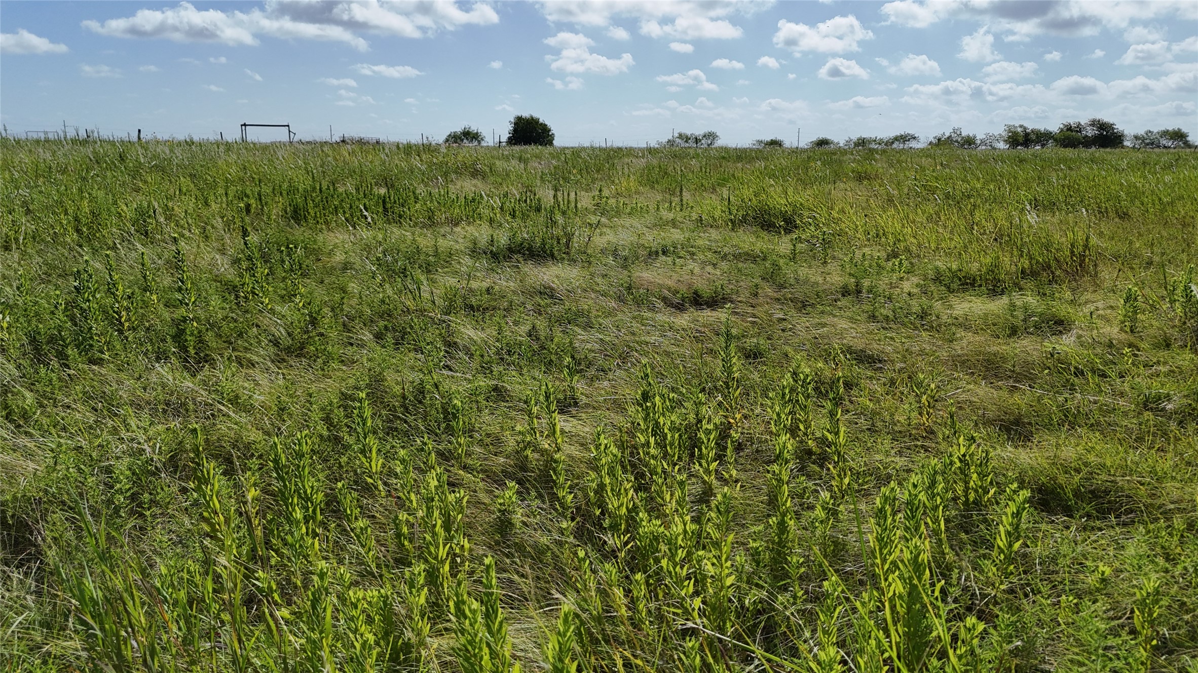 Lot 25 NW County 2170 Road