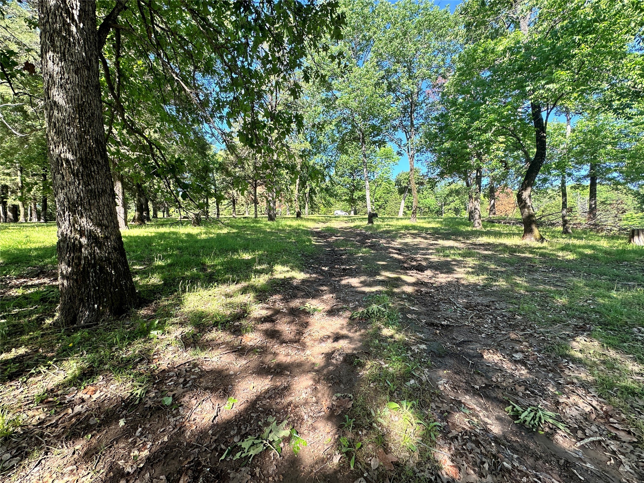 Lot 6 Lincoln Drive