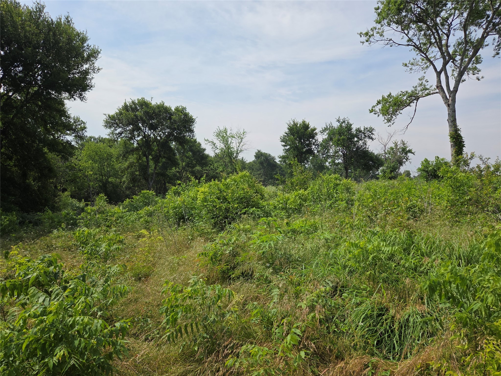 Lot 80 & BL # 16 ShoreSide Drive