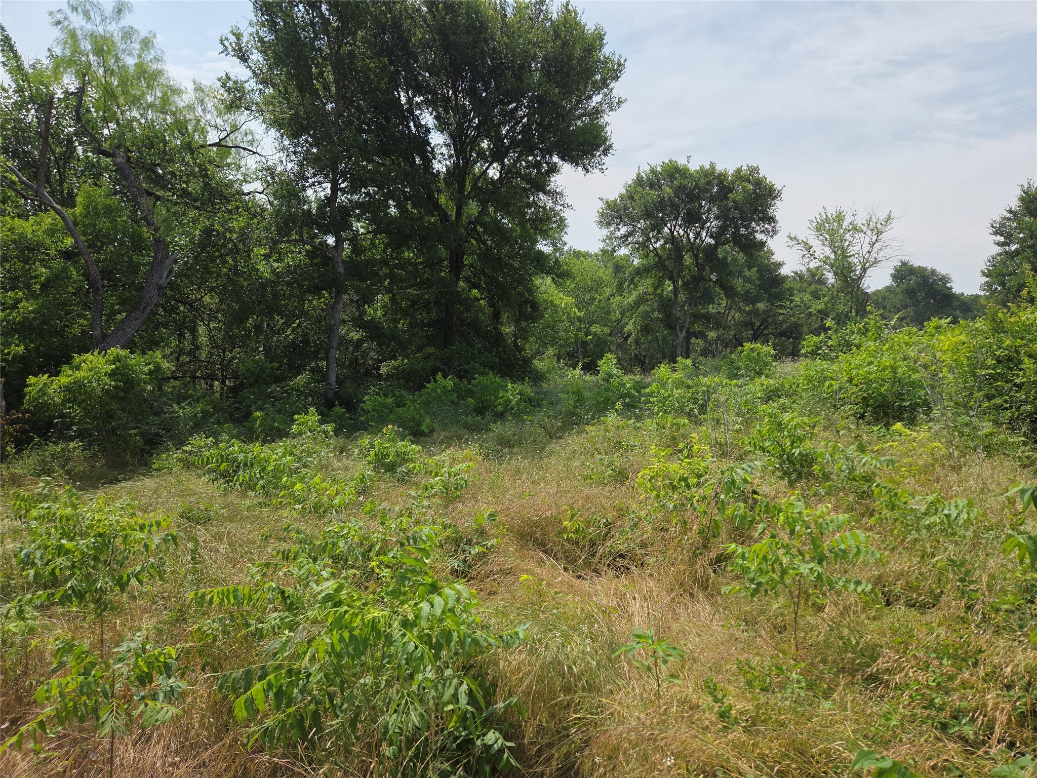 Lot 80 & BL # 16 ShoreSide Drive