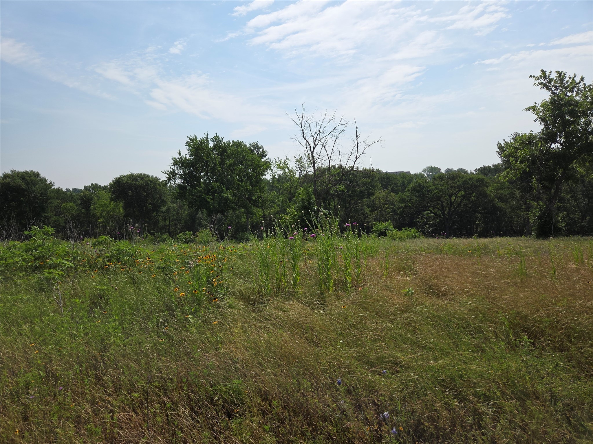 Lot 80 & BL # 16 ShoreSide Drive