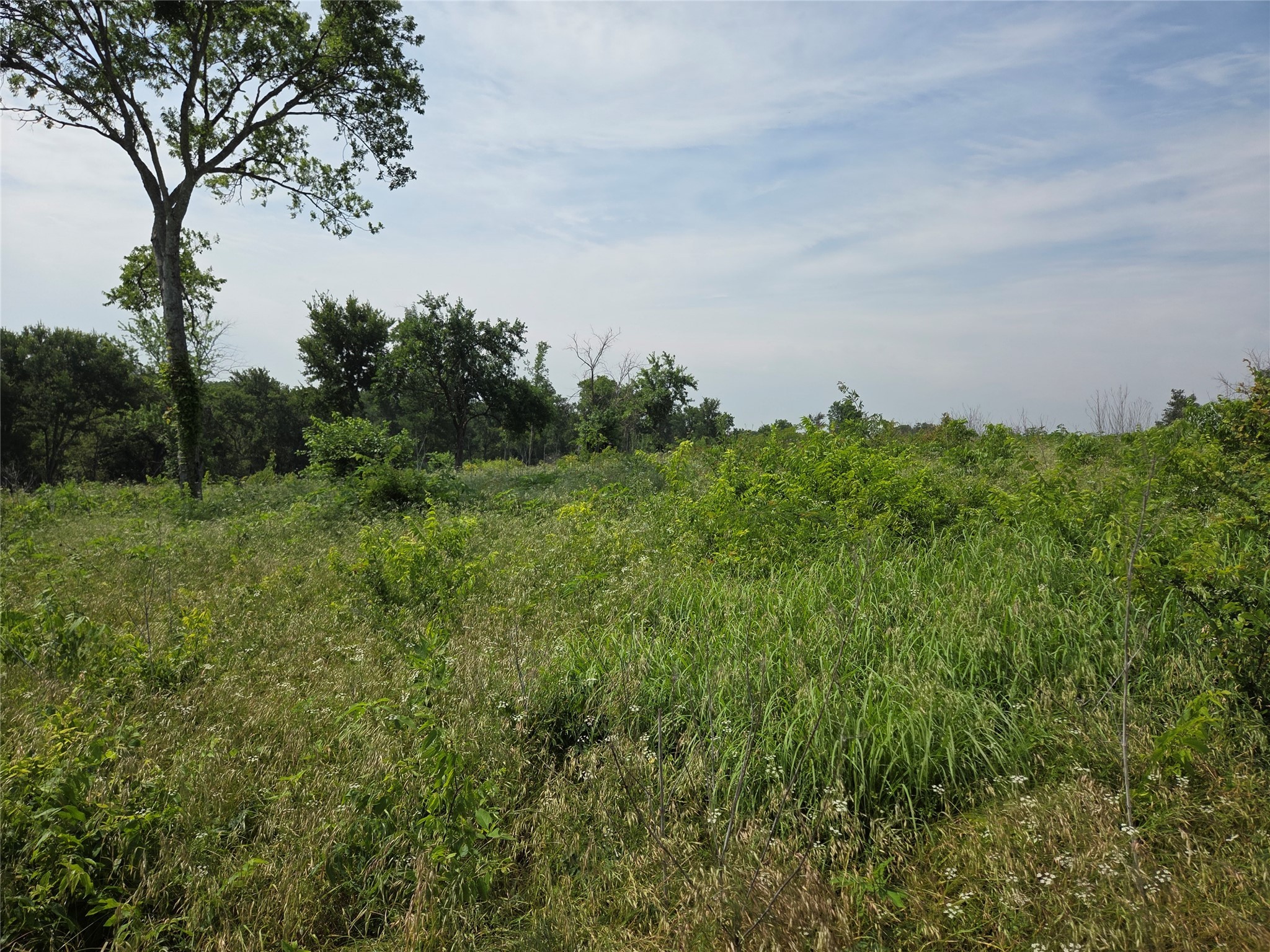 Lot 80 & BL # 16 ShoreSide Drive