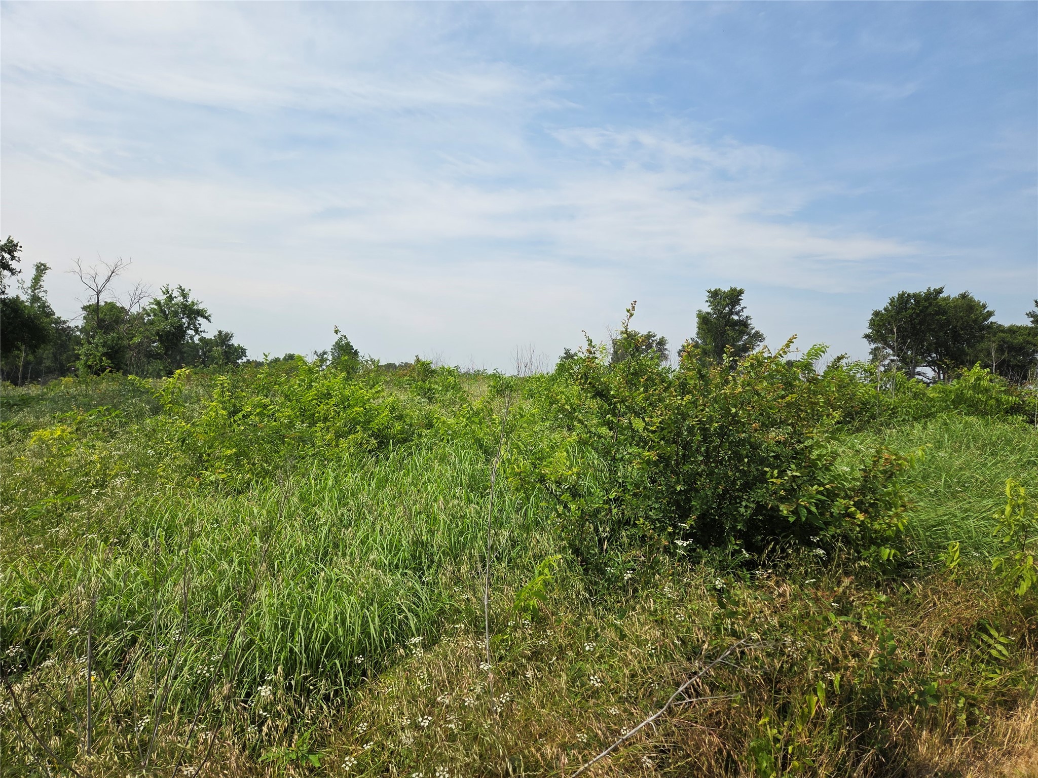 Lot 80 & BL # 16 ShoreSide Drive