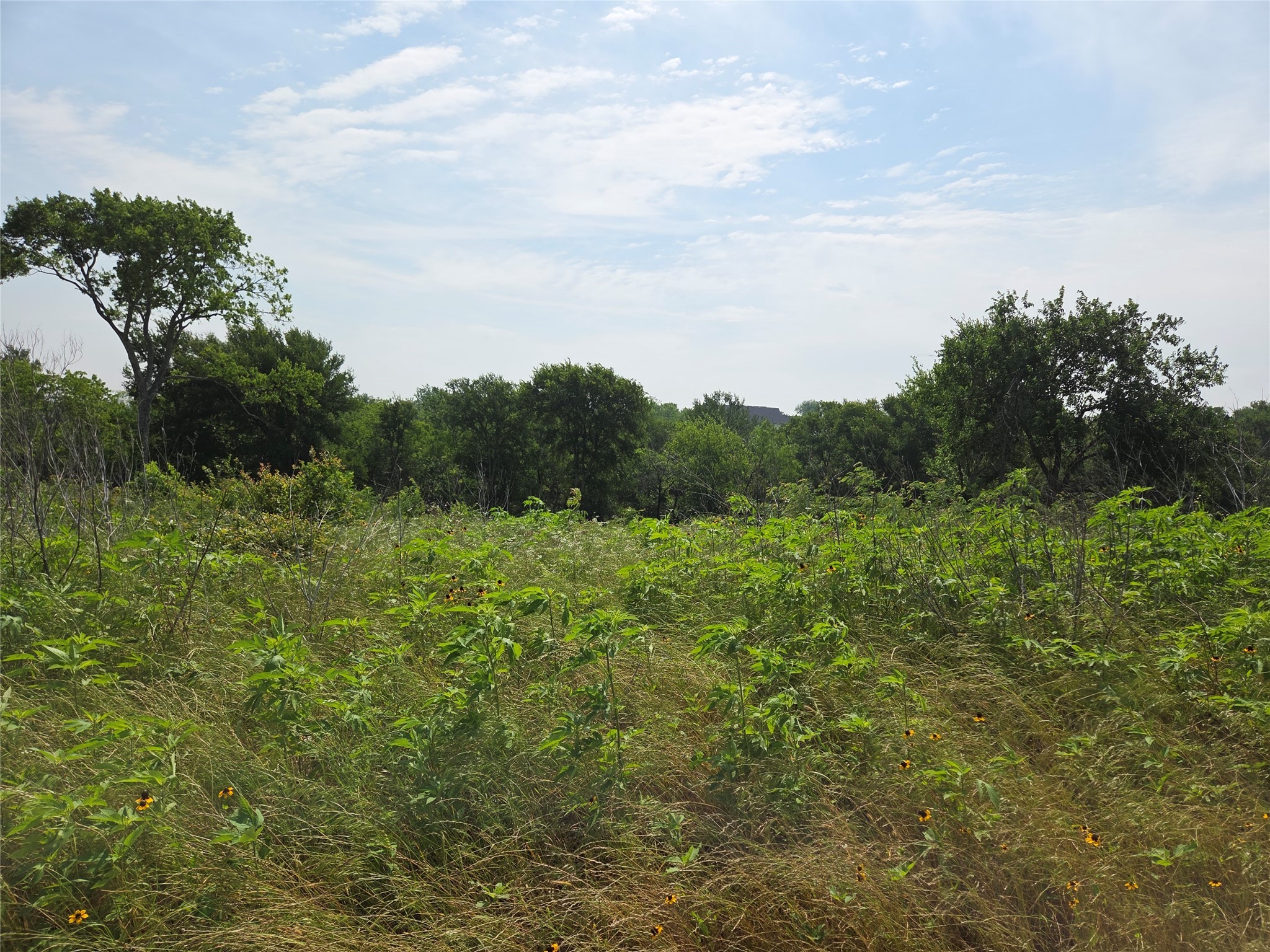 Lot 80 & BL # 16 ShoreSide Drive