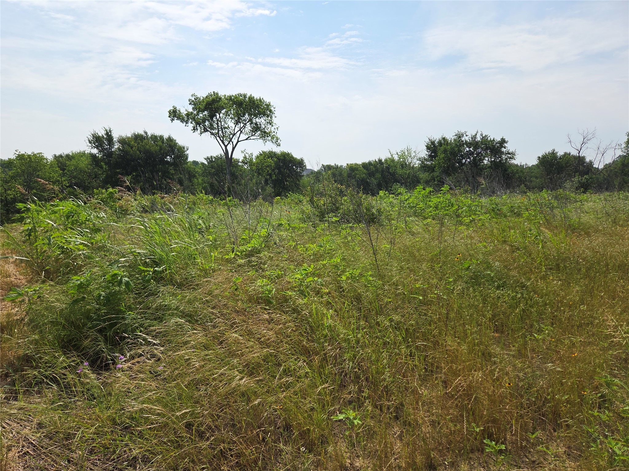 Lot 80 & BL # 16 ShoreSide Drive