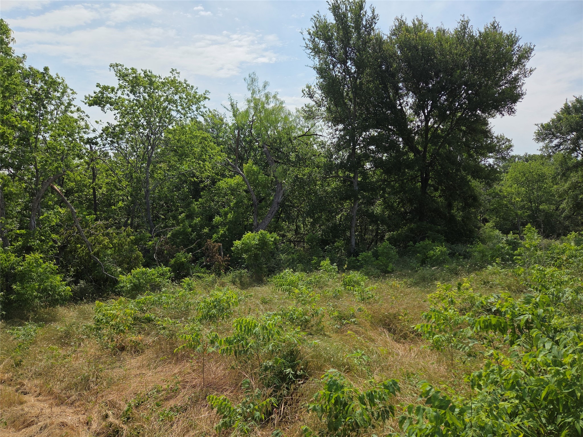 Lot 80 & BL # 16 ShoreSide Drive