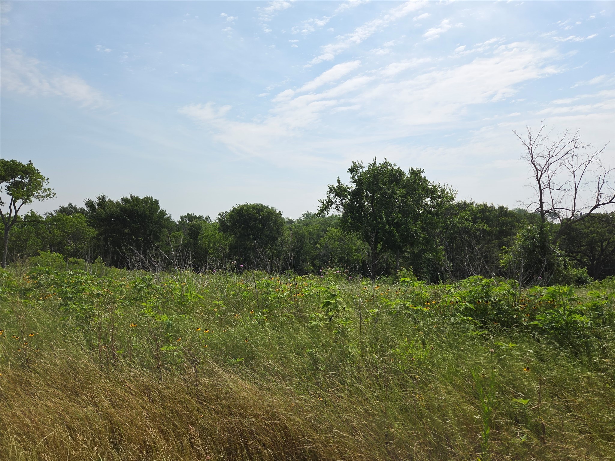 Lot 80 & BL # 16 ShoreSide Drive