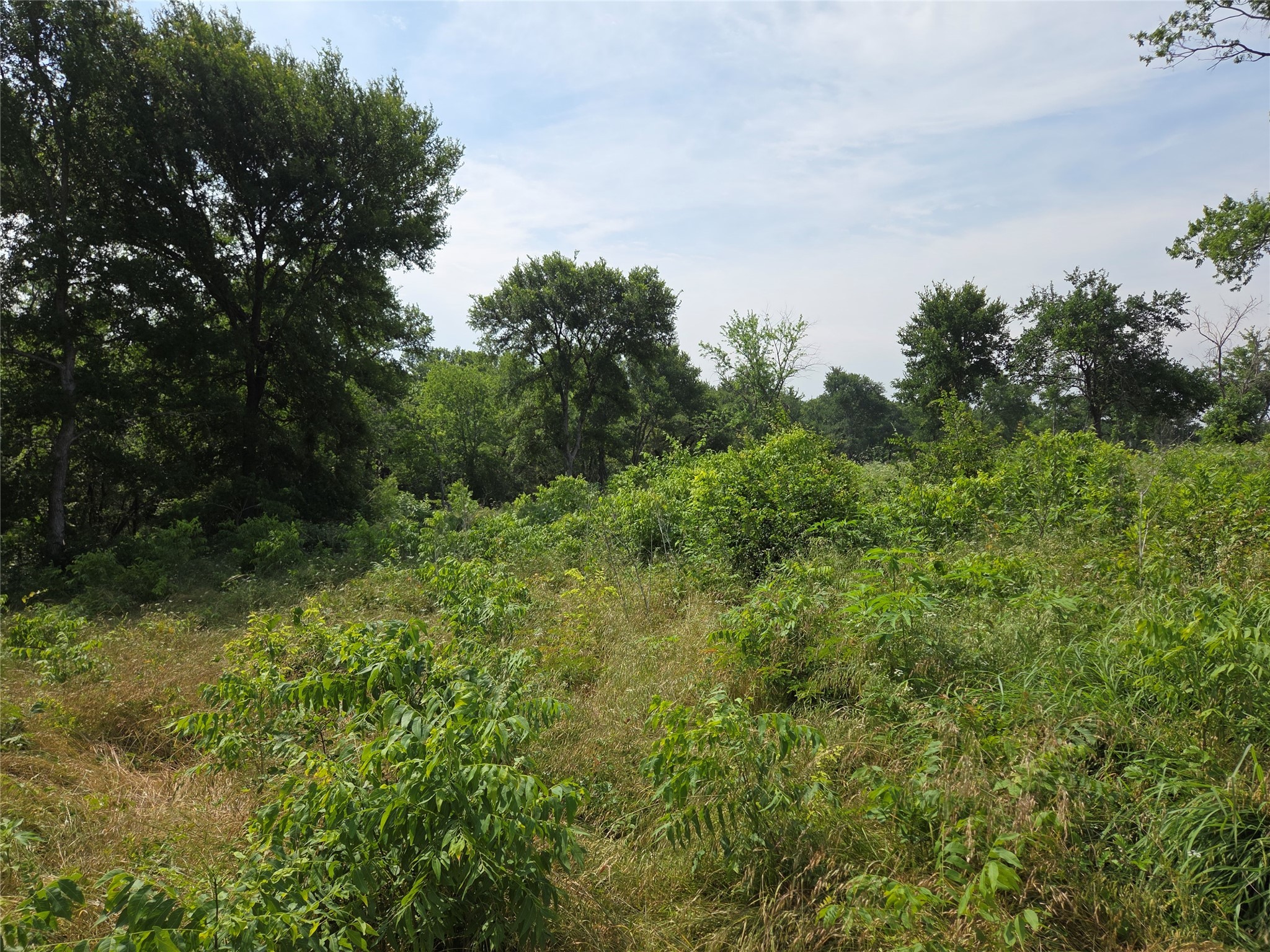 Lot 80 & BL # 16 ShoreSide Drive
