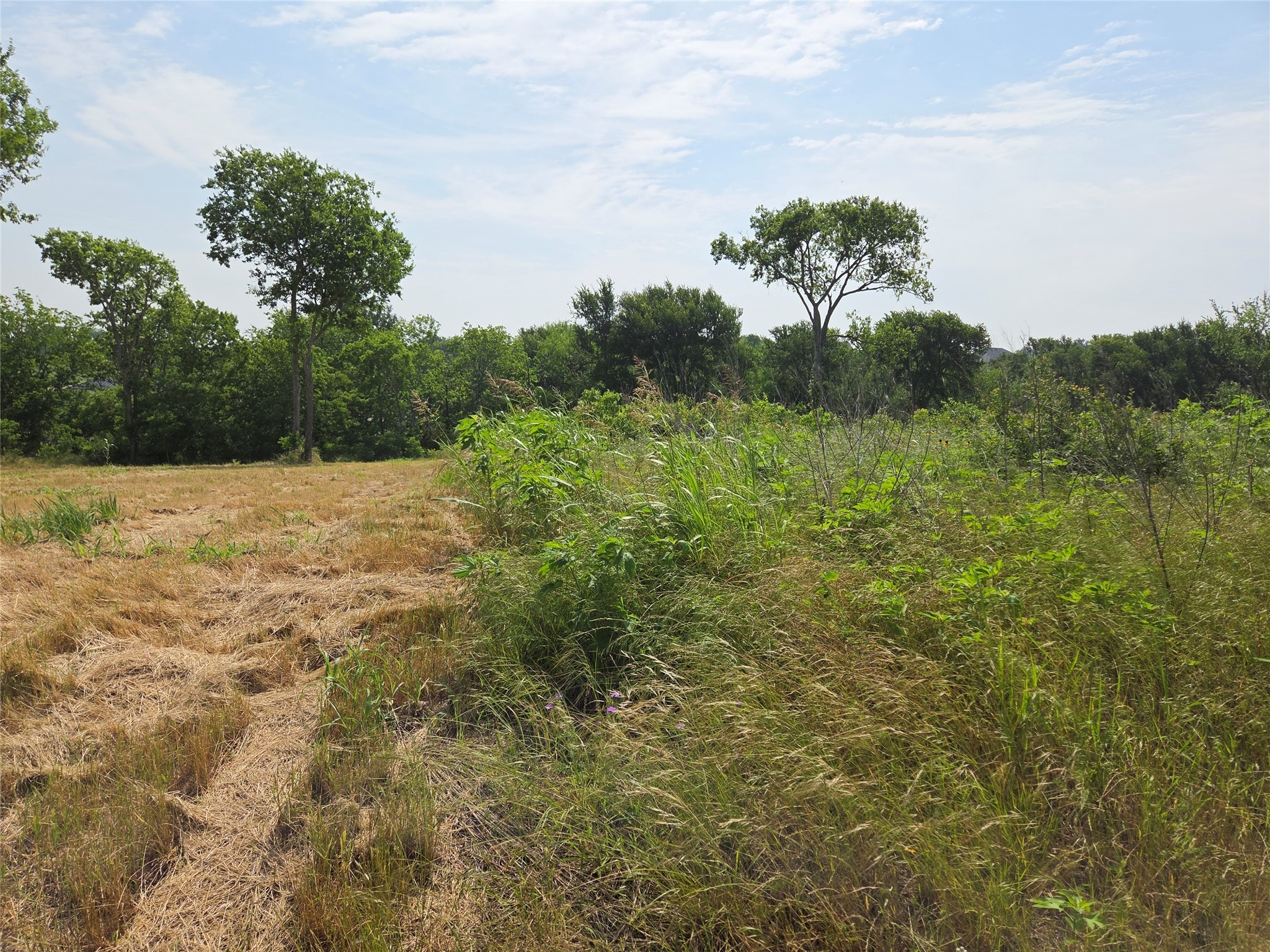 Lot 80 & BL # 16 ShoreSide Drive