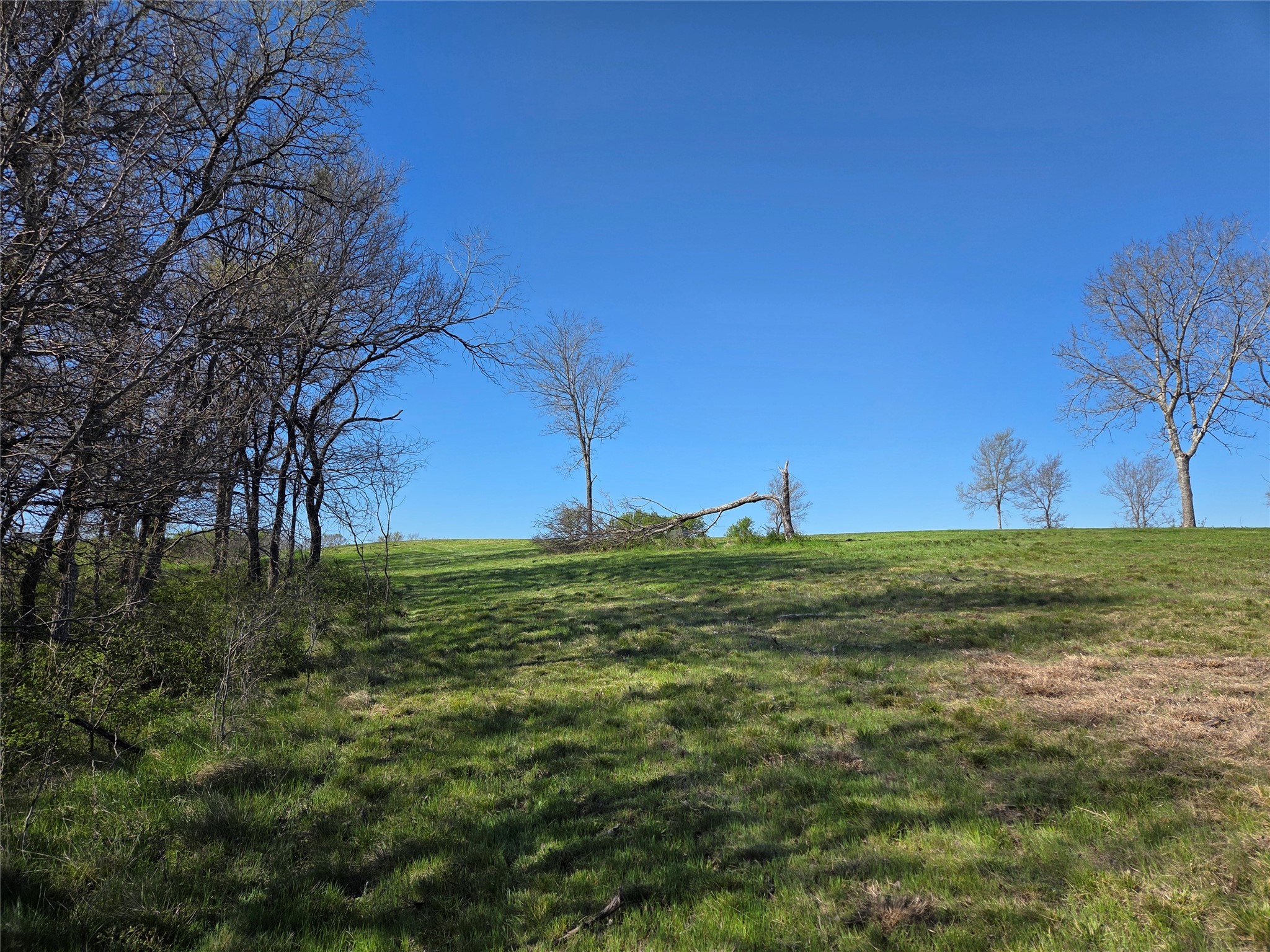 Lot 60 Sunset Court
