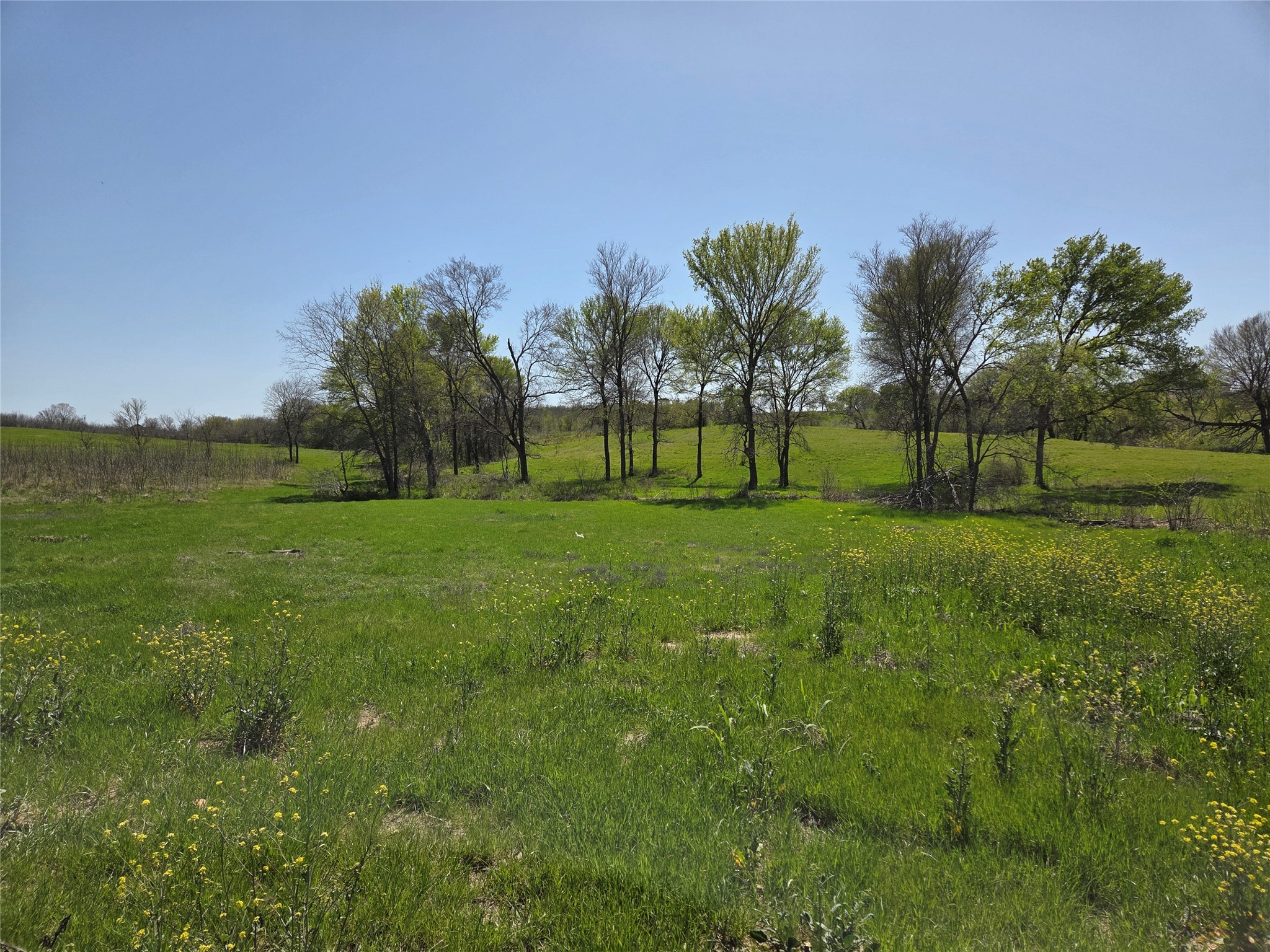 Lot 13 & 14 Barefoot Bay Boulevard