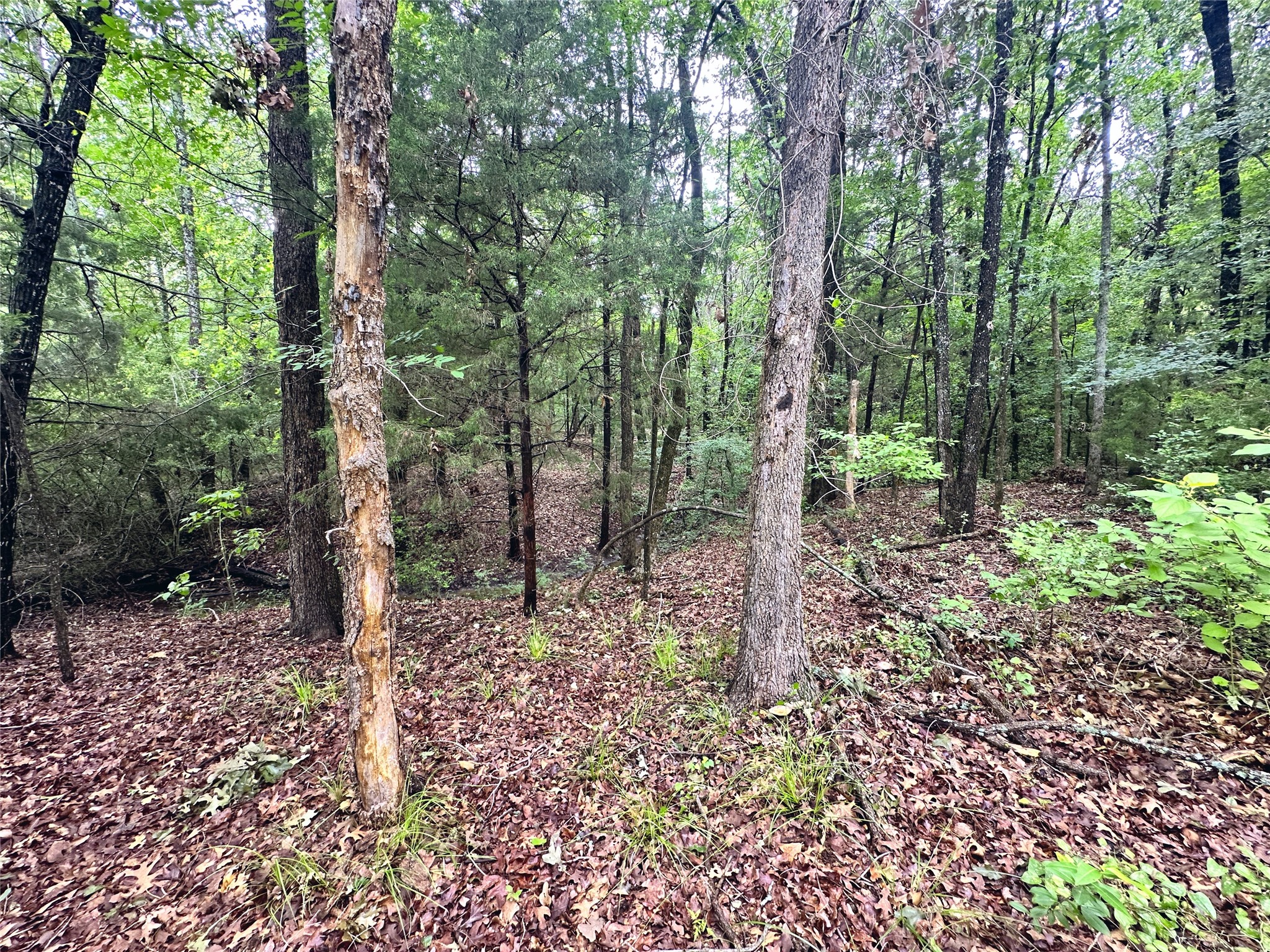 Lot 105-R Waters Edge Drive
