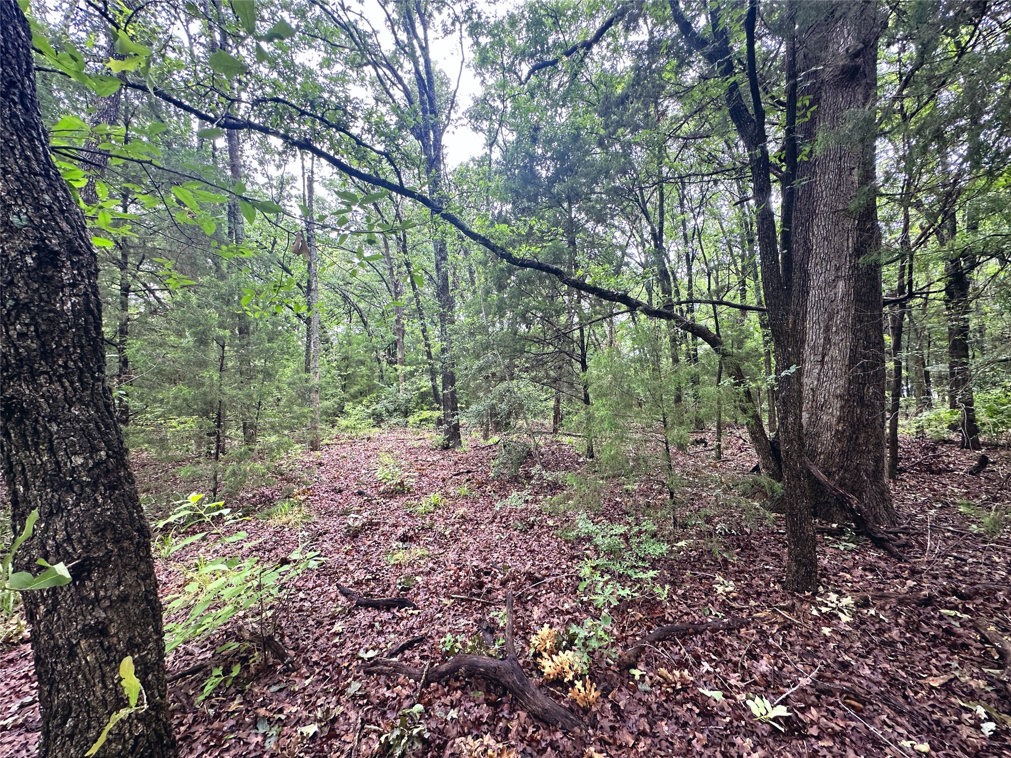 Lot 105-R Waters Edge Drive