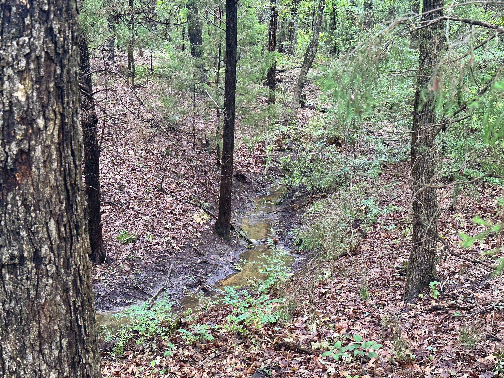 Lot 105-R Waters Edge Drive