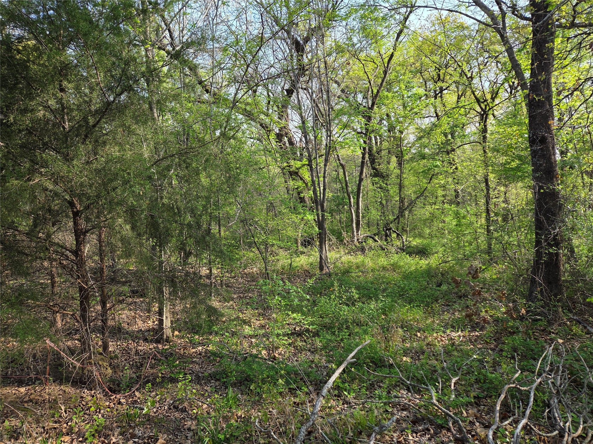 Lot 97 Tonkawa Trail
